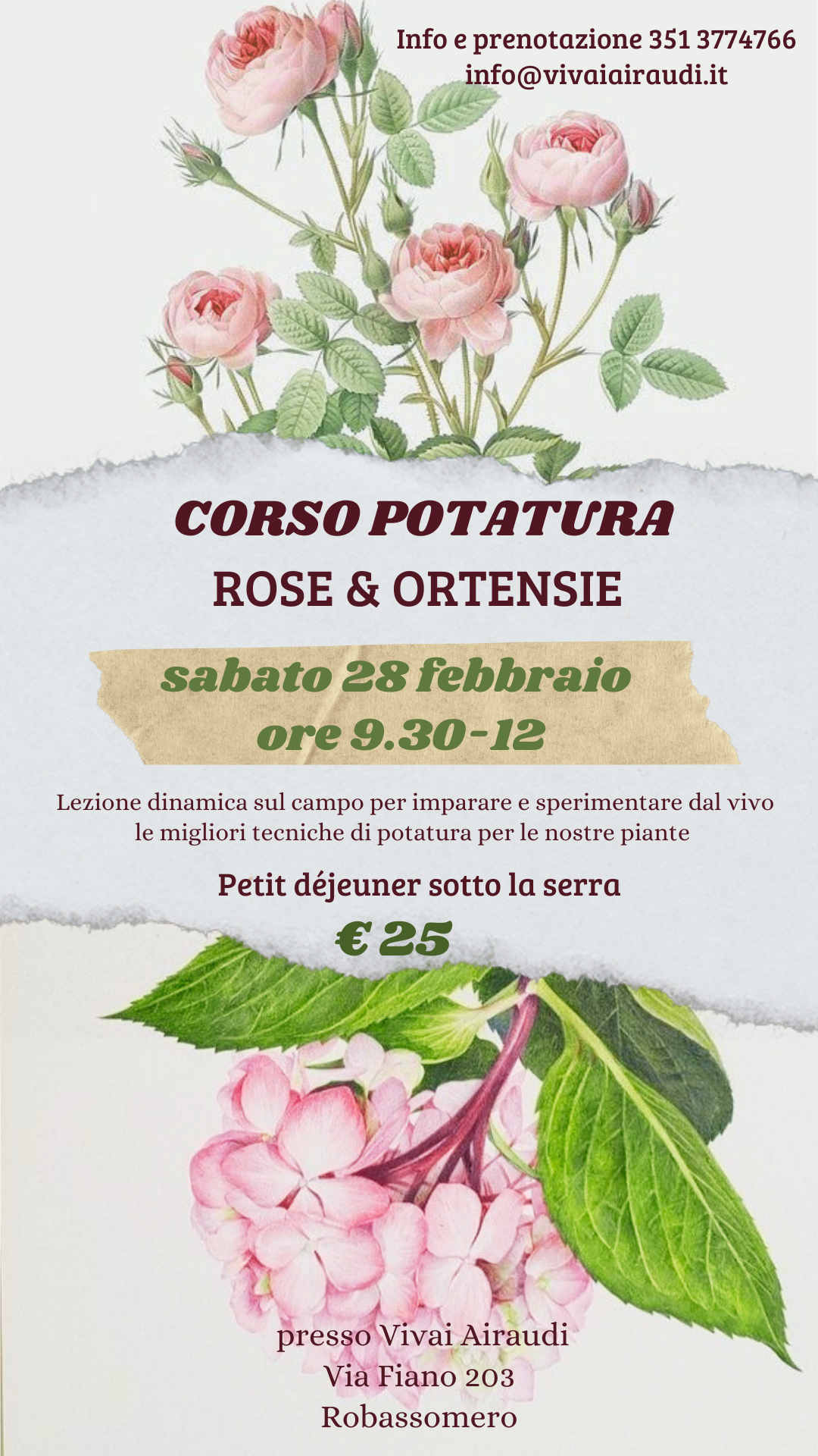 potatura rose 26.png