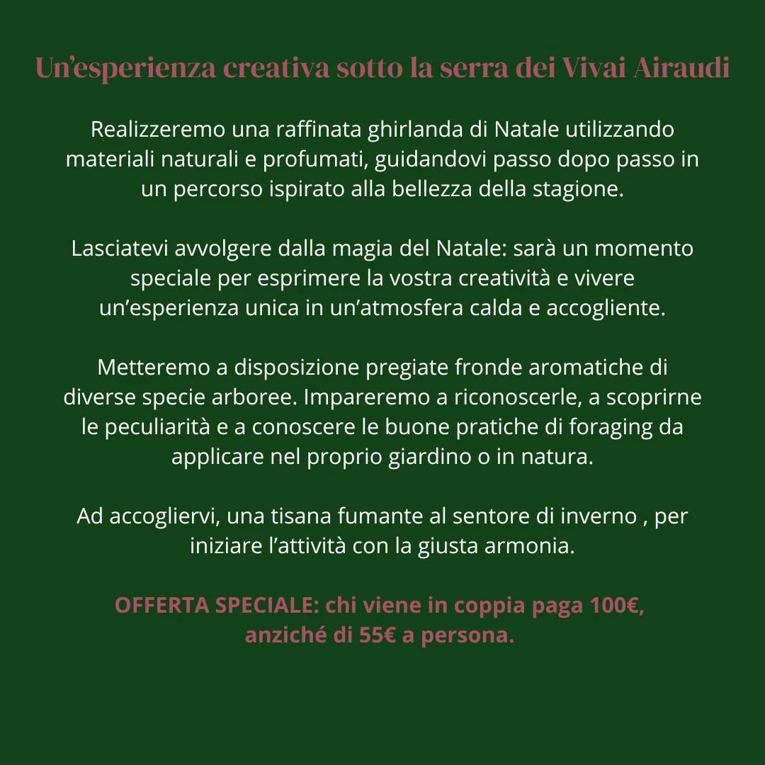 WhatsApp Image 2025-11-24 at 08.43.52 (1).jpeg (Copia)