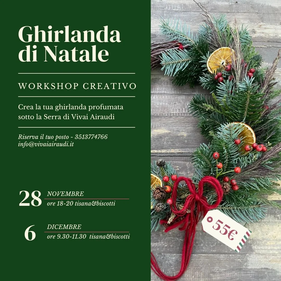 WhatsApp Image 2025-11-24 at 08.43.52.jpeg (Copia)