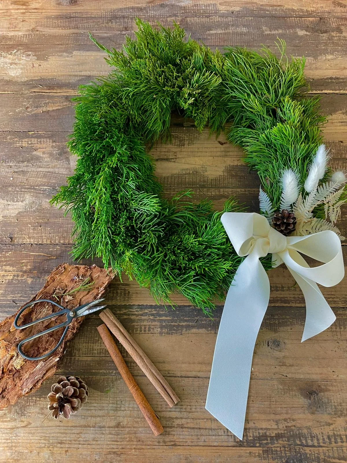 WhatsApp Image 2025-11-21 at 16.43.22.jpeg