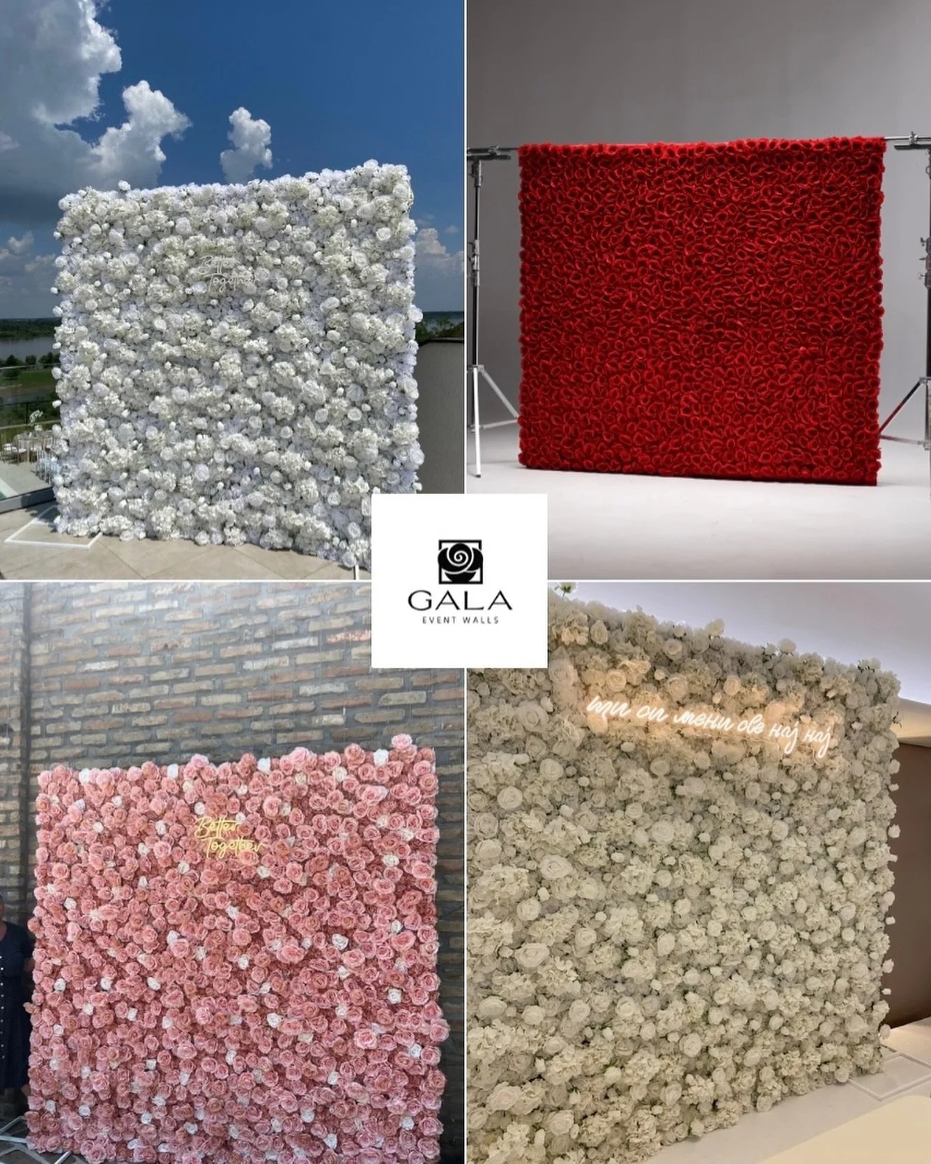 Cvetni zidovi za iznajmljivanje. 📸
Za sve vrste va&scaron;ih proslava. ✨
Za slike koje ostavijaju bez daha. 📷

#cvetnizid #dekoracijavencanja #18rodjendan