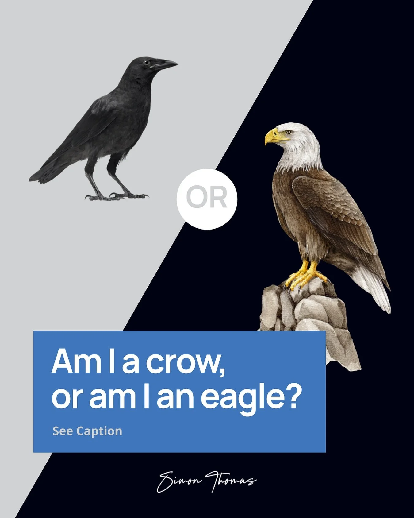 “The only bird that dares peck an eagle is the crow. The crow sits on the eagle’s back and bites its neck. The eagle doesn’t fight back or waste time with the crow. It simply opens its wings and soars higher into the sky. The higher