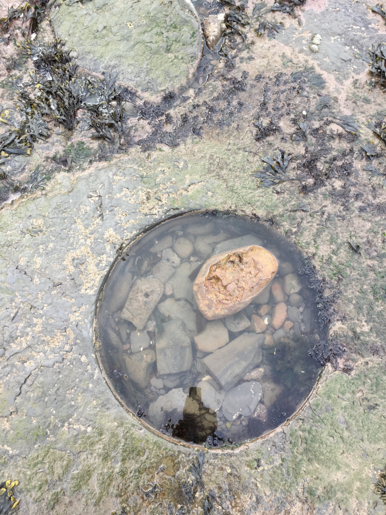 Rock pool 1.png
