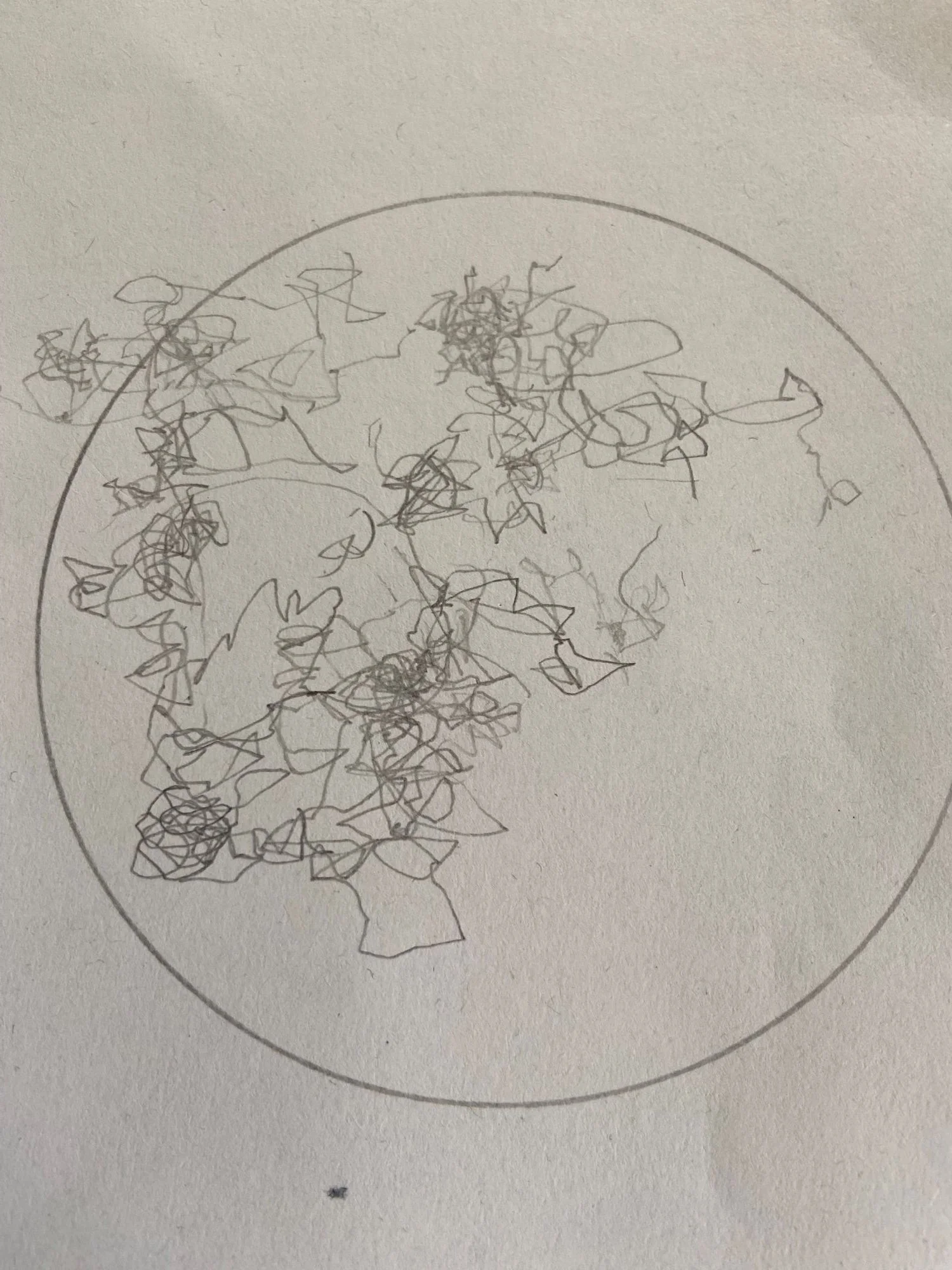 Stitched stories.jpg