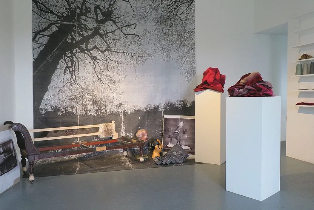 Visitor Reflections from YSP