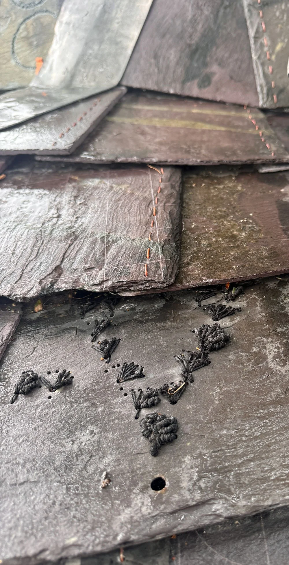 IMG_6729-wet-slate.jpg