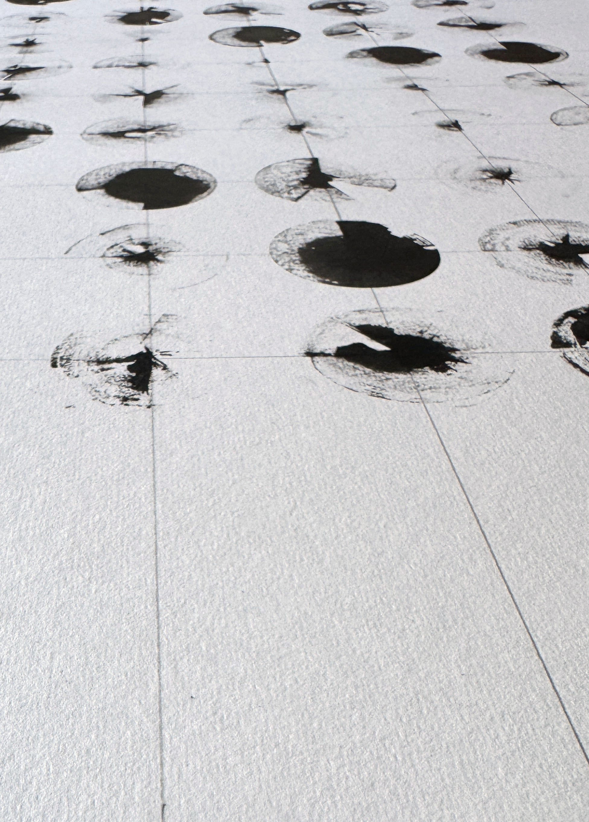 GRCircles Series 2, Image 2b.jpg
