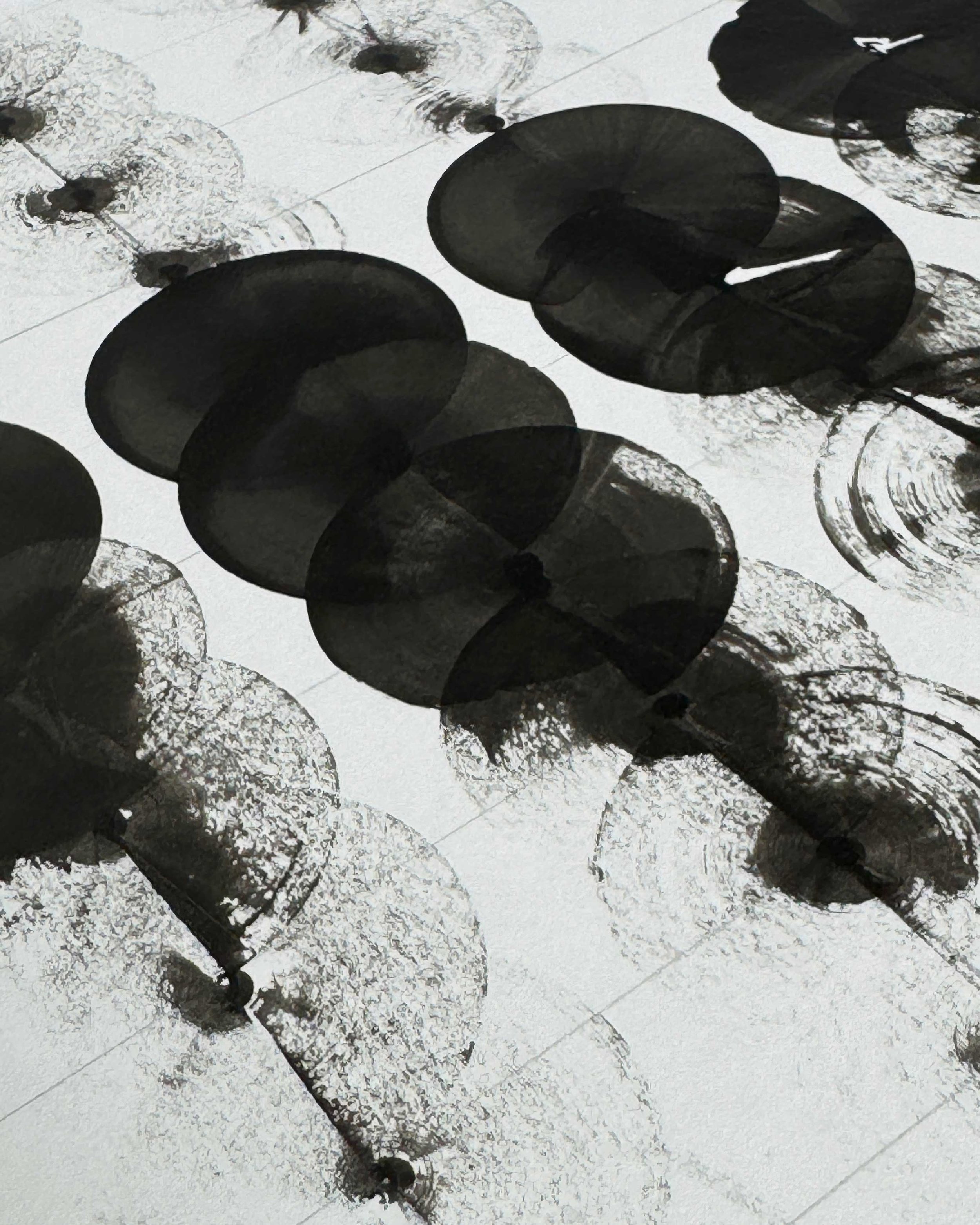 Going-Round-in-Circles-1c.jpg