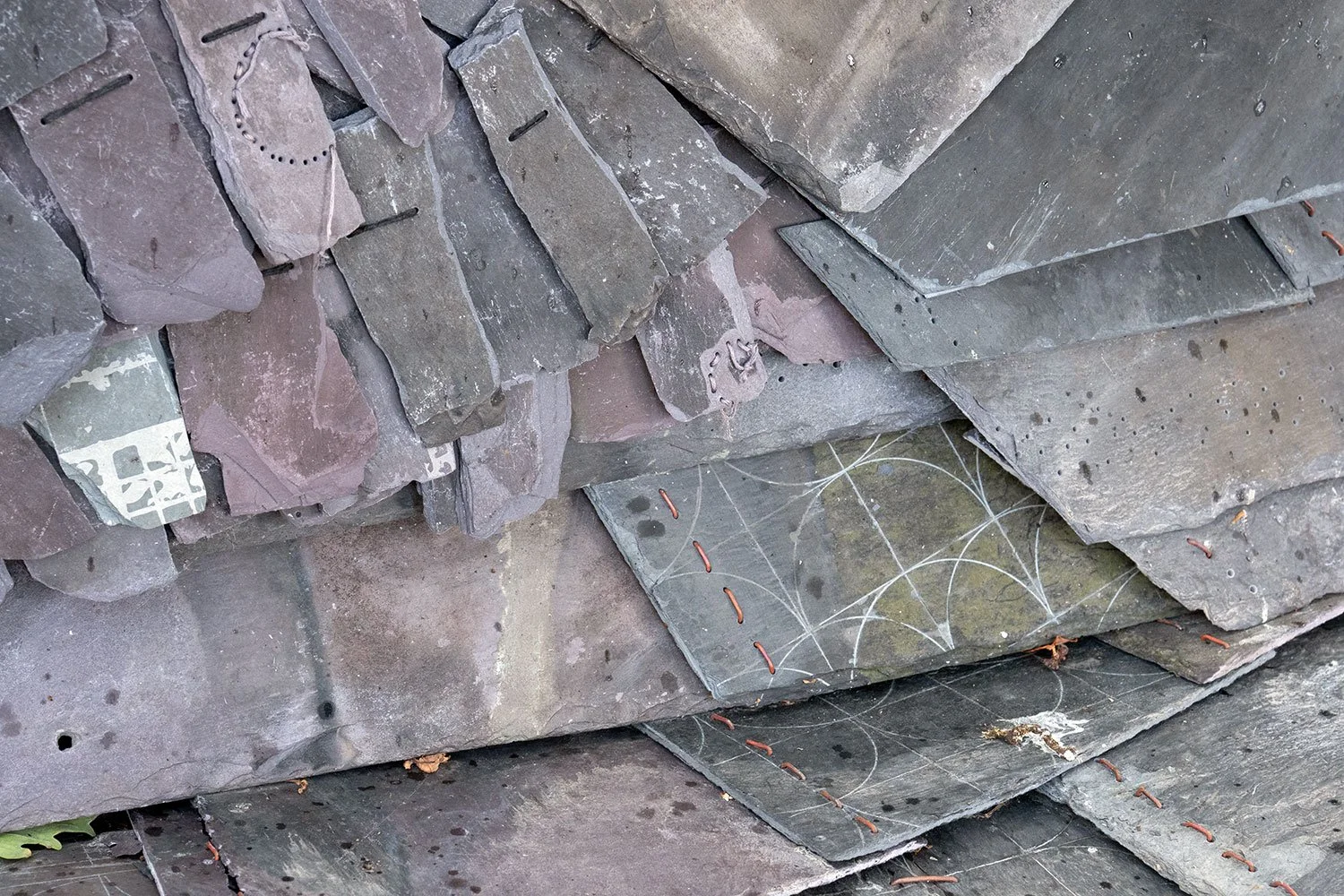 P8060386-slate-feathers.jpg