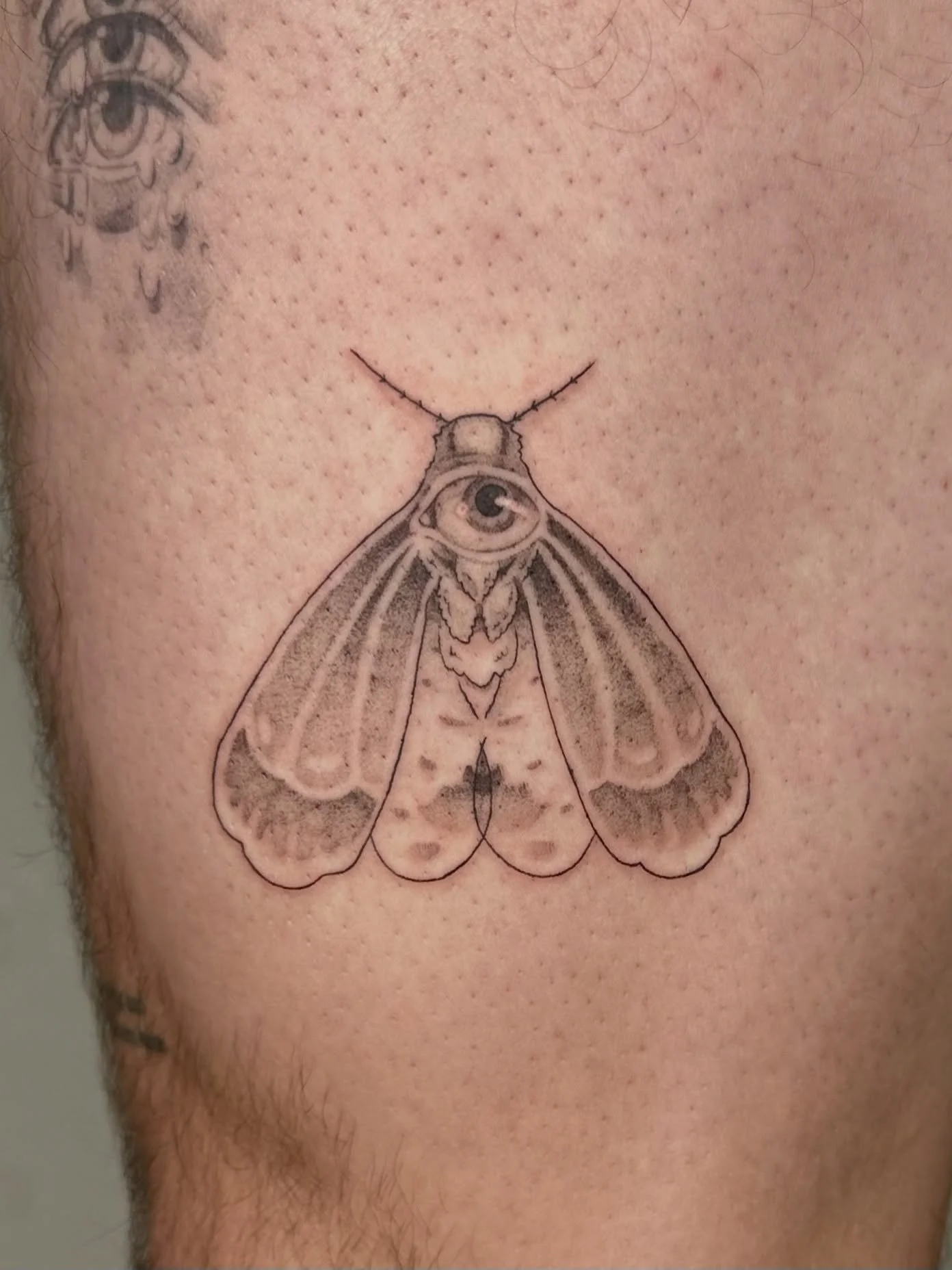a moth for Will 🕯️✨ thank you so much for claiming this flash piece, it&rsquo;s always lovely to spend a day with you and to learn about what is new in your life since I saw you last 

Hope everyone out here is surviving the holiday season

lots of 