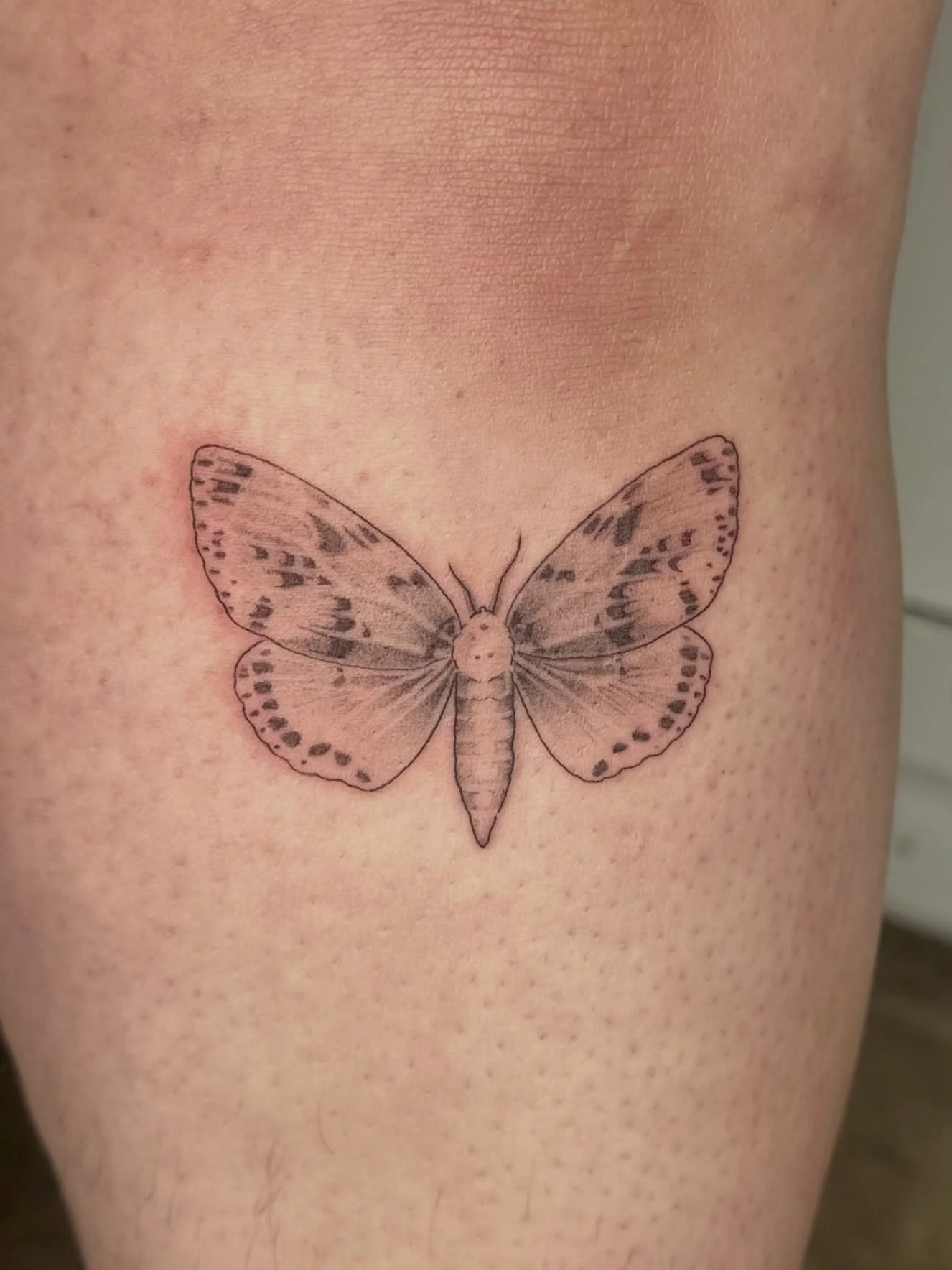 a little asymmetrical moth tattoo for Azriel 💛✨🕯️ I&rsquo;m so grateful for your friendship! thank you for getting the first tattoo from my new machine, it&rsquo;s always so lovely to spend time with you!

#tattoo #botanicaltattoos #finelinetattoo