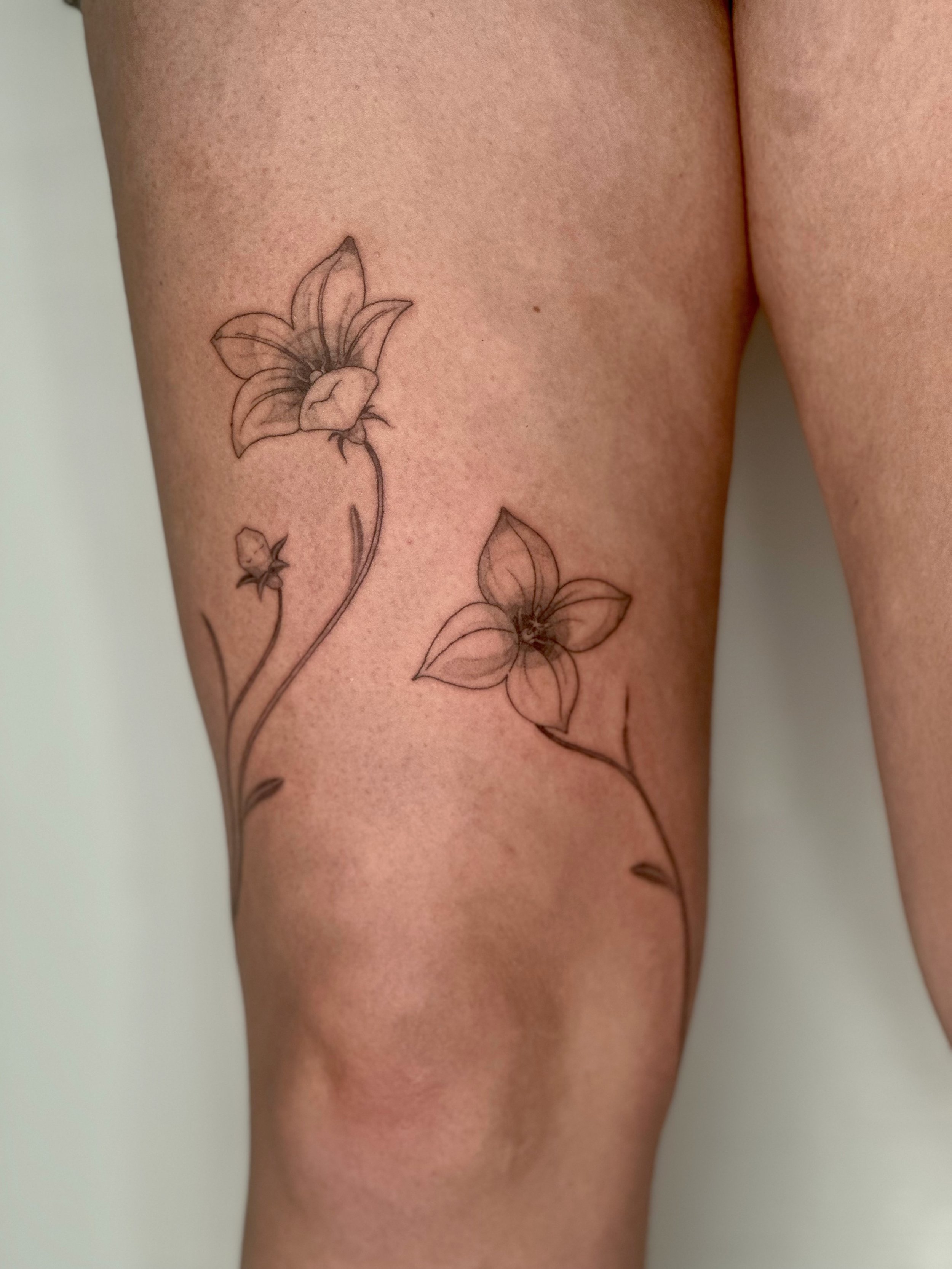Ballon Flowers tattooed for Abby ❤️&zwj;🔥 thank you so much, it&rsquo;s always so lovely to spend the day with you!

I love love hearing about the plants that have woven themselves into our lives, currently booking for July &amp; August, would love 