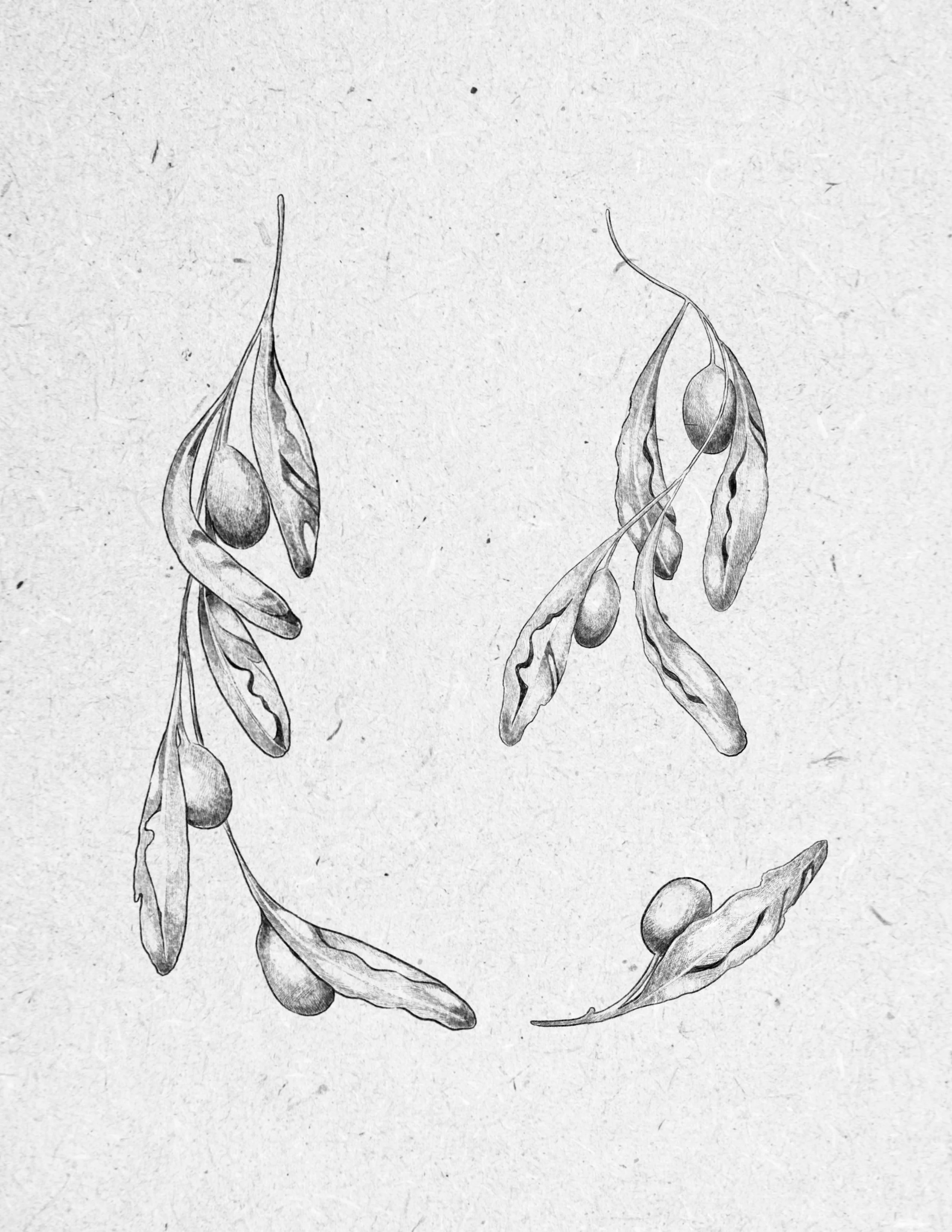 Untitled_Artwork 47.jpg
