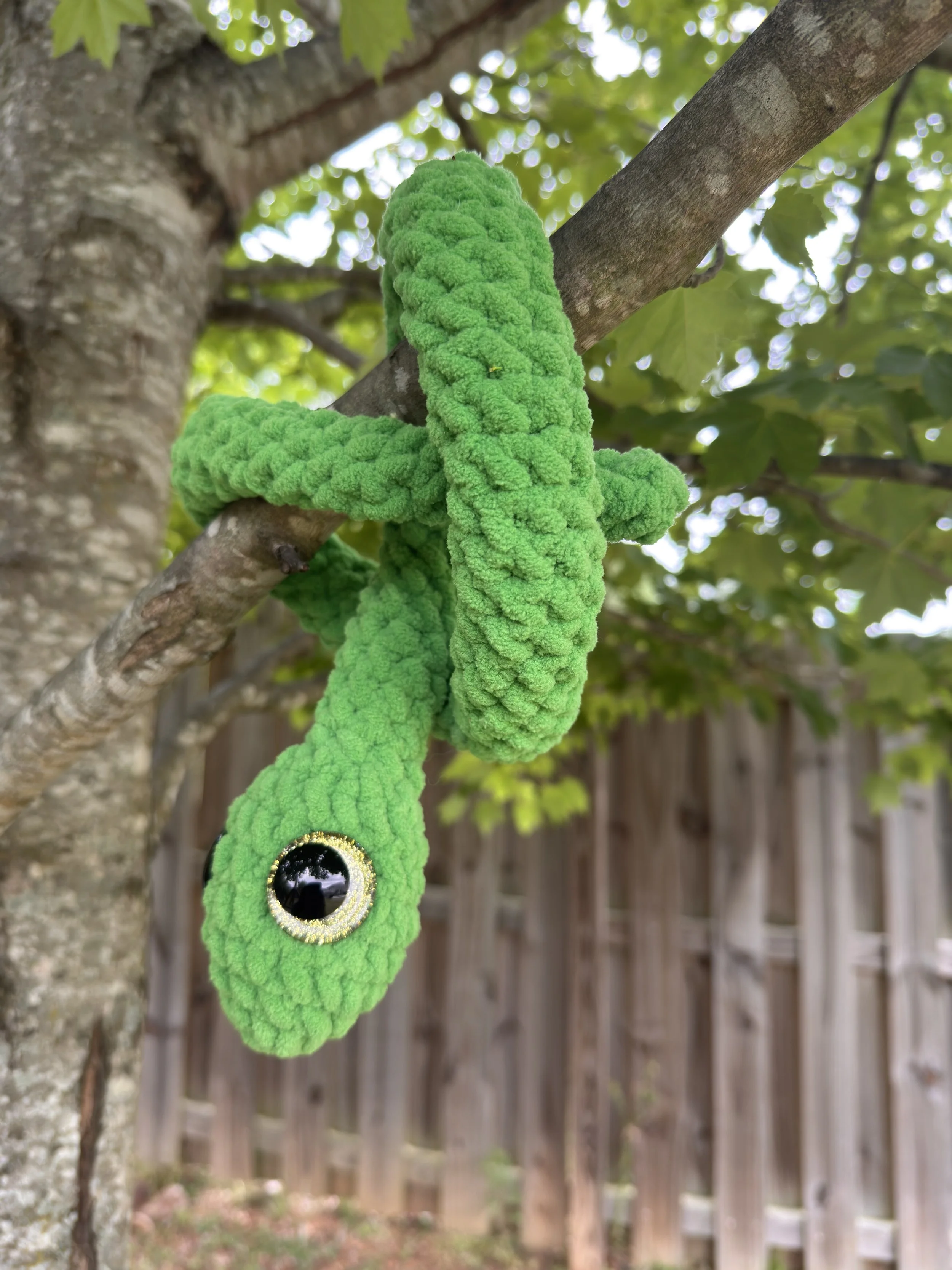 Noodle- Sprout