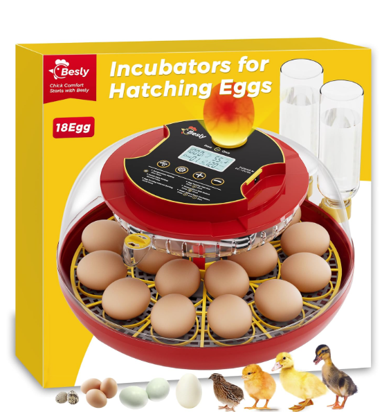 67% off BESLY Automatic Egg Incubator
