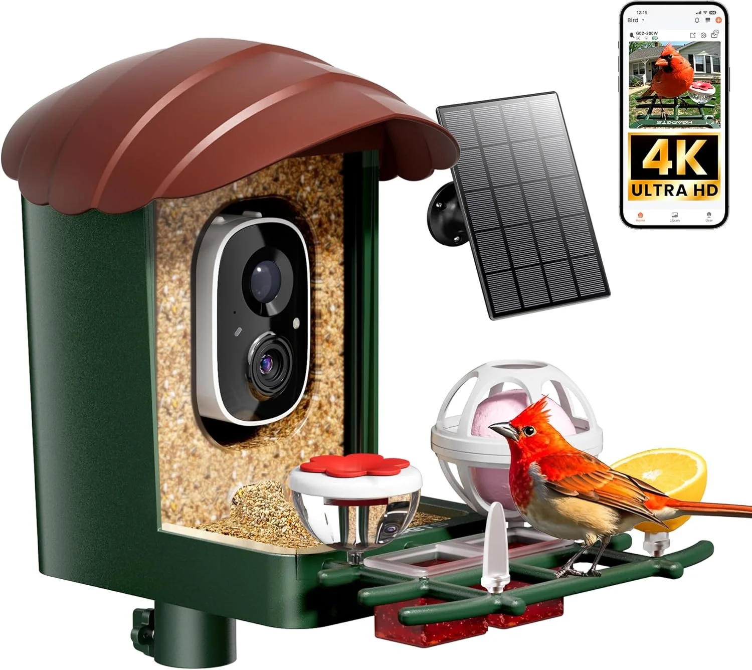 67% off Bird Feeder with Camera