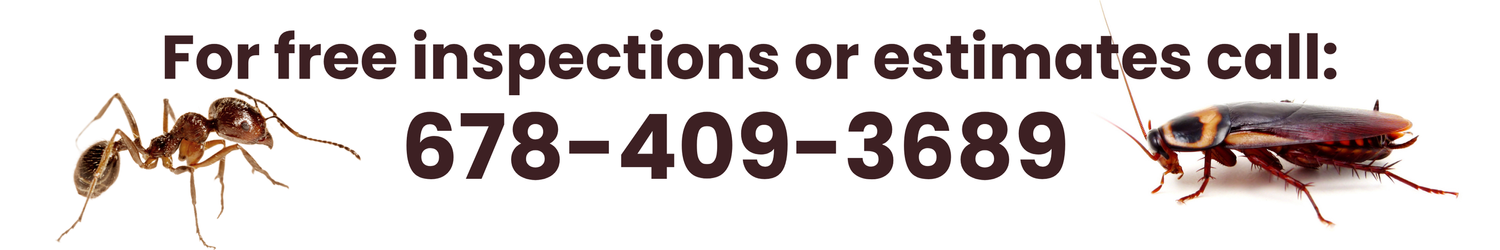 Free pest control inspections and estimates - Call HANCO Exterminating at 678-409-3689