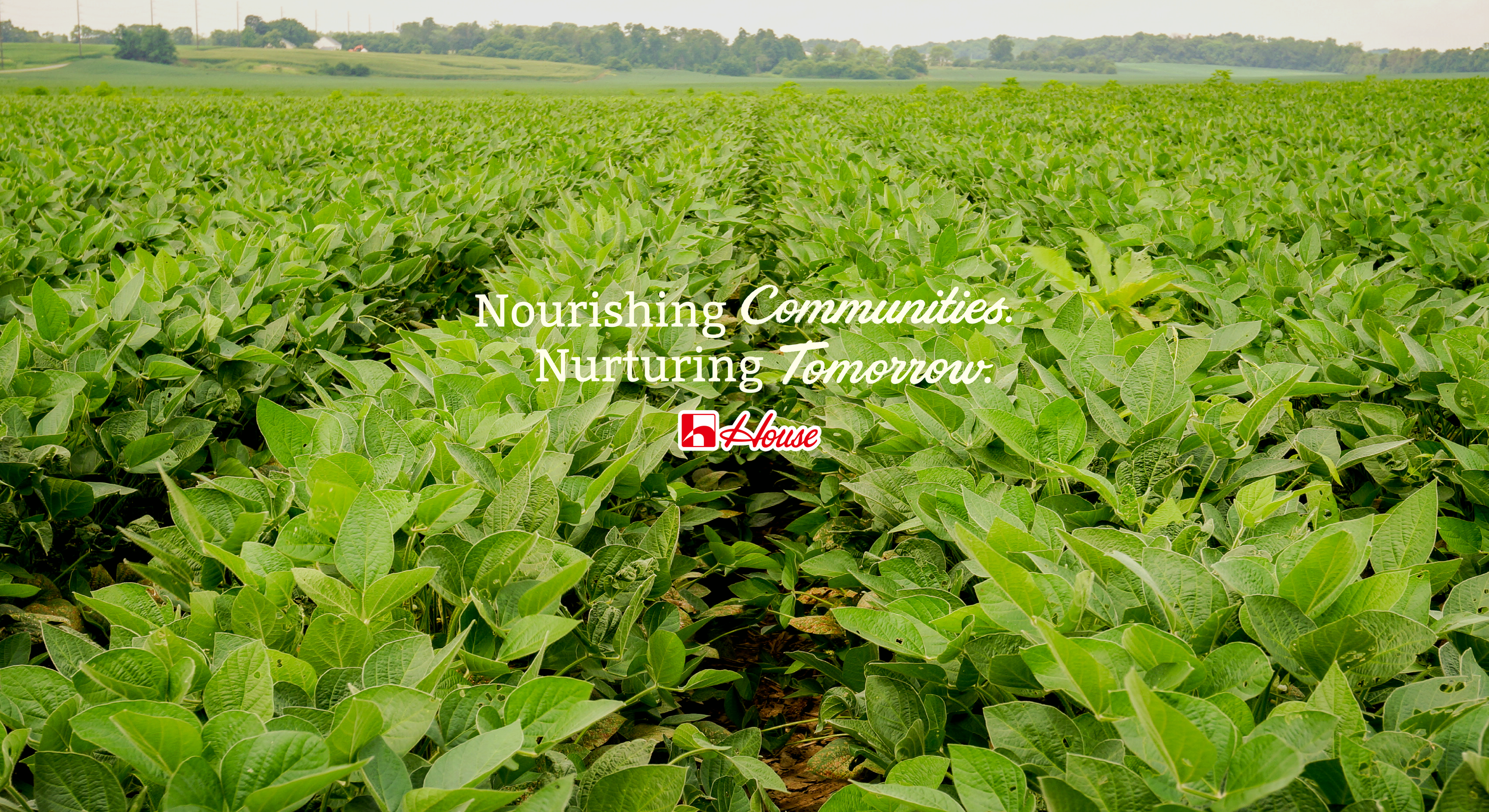 Key Visual Center Align@300x.png