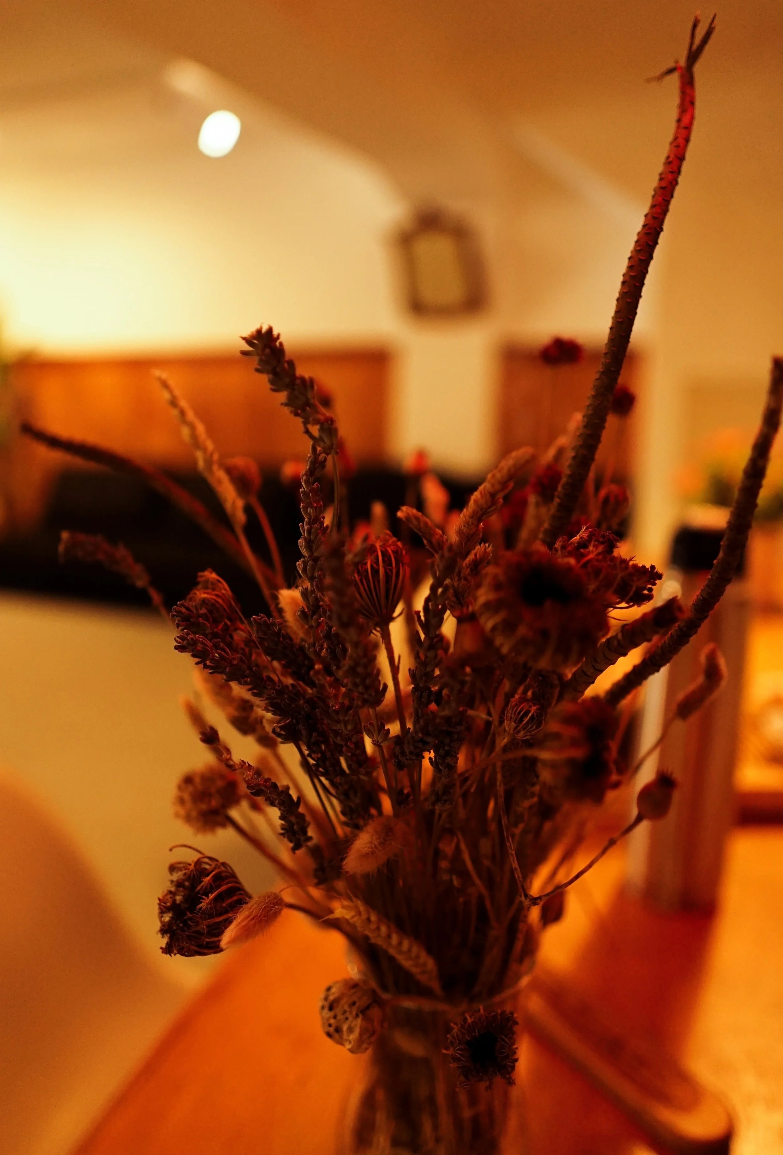 DSC01829-min.jpeg