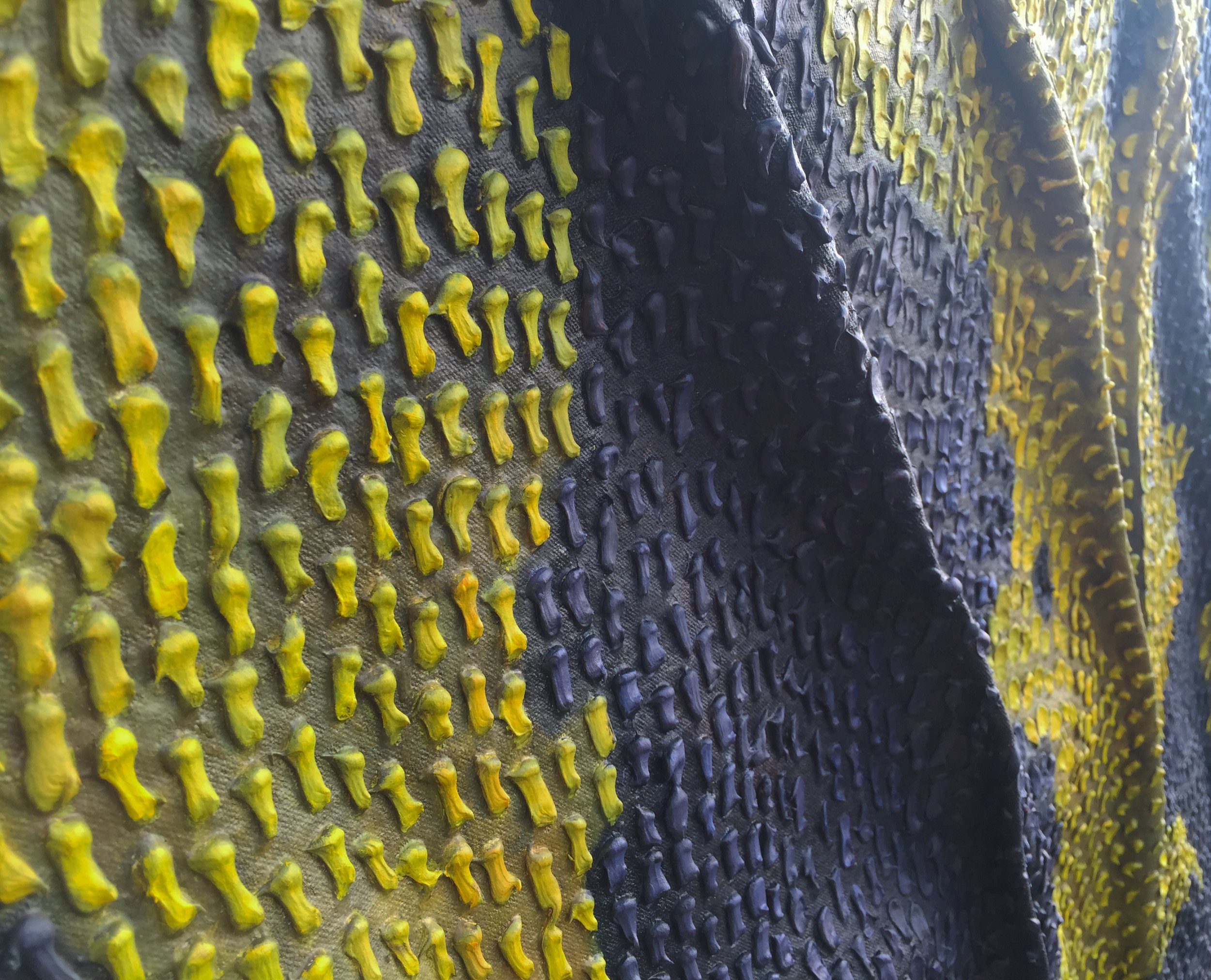 Monitor Lizard 2.jpg