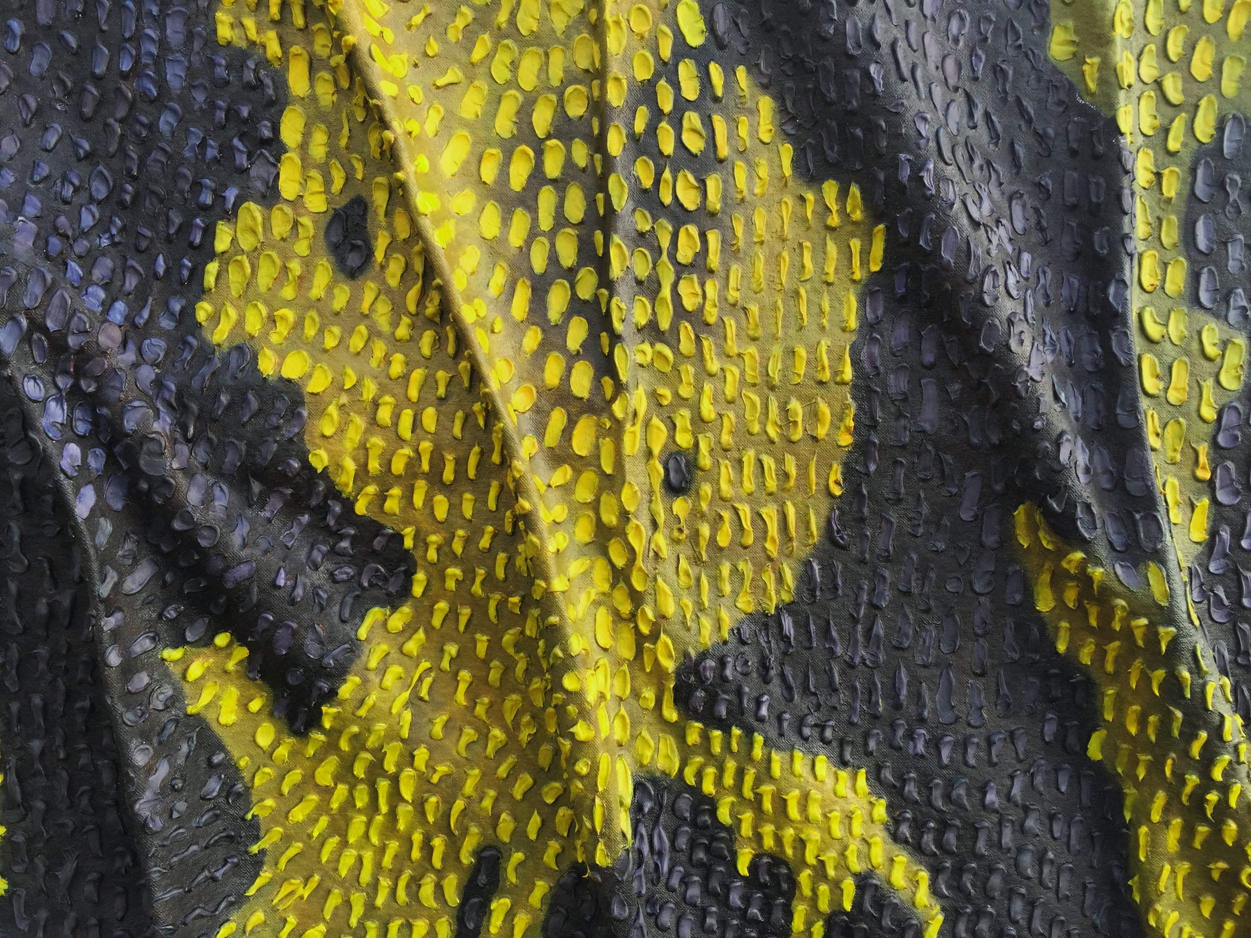 Monitor Lizard 3.jpg
