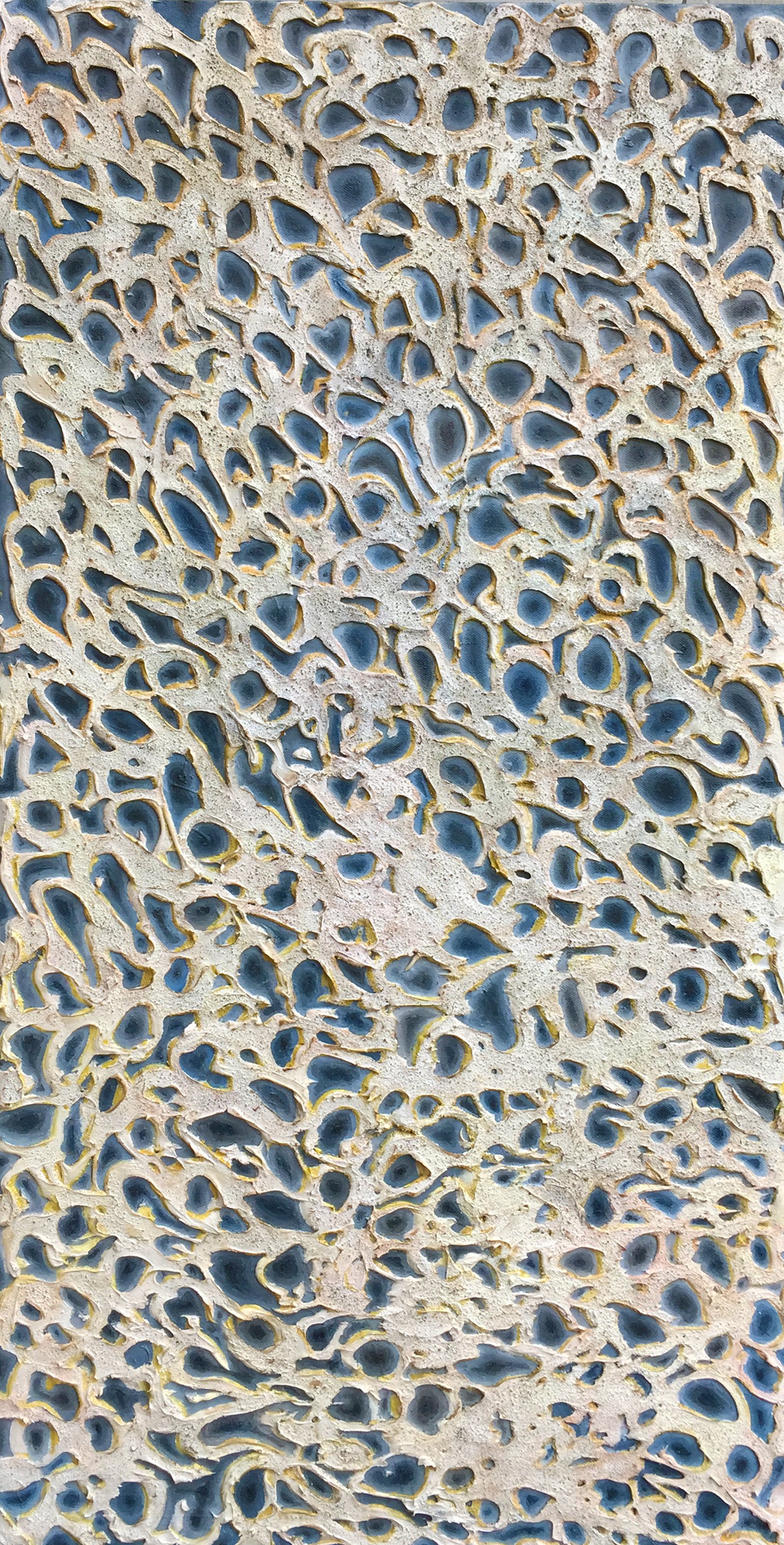 Honeycomb Coral 2.jpg