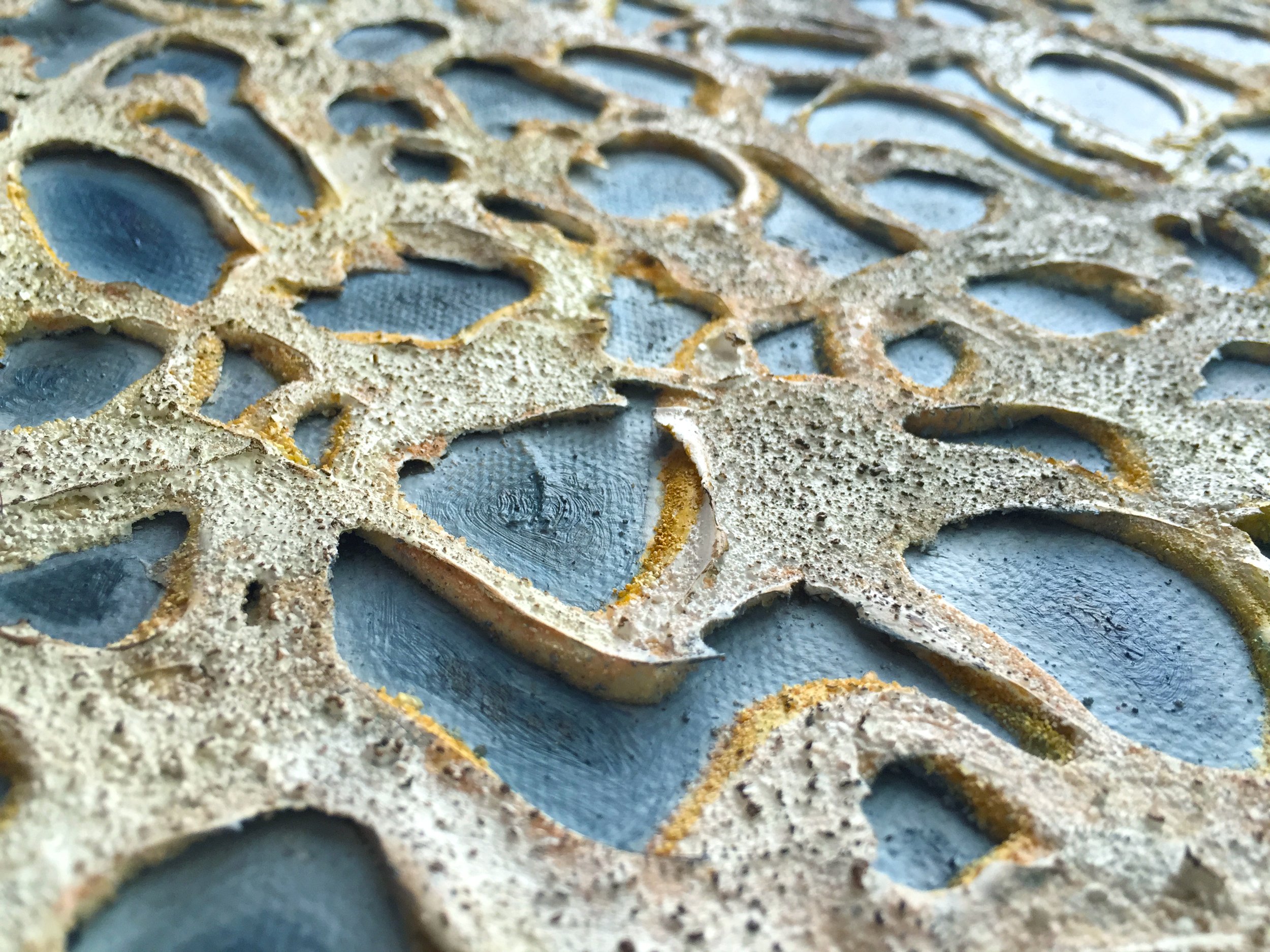 Honeycomb Coral.jpg