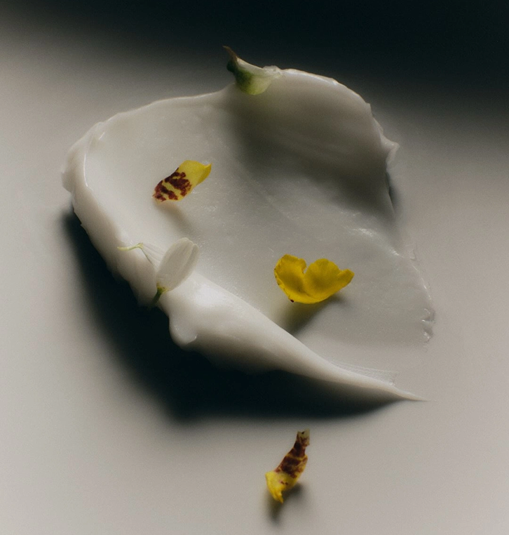 image 15.png