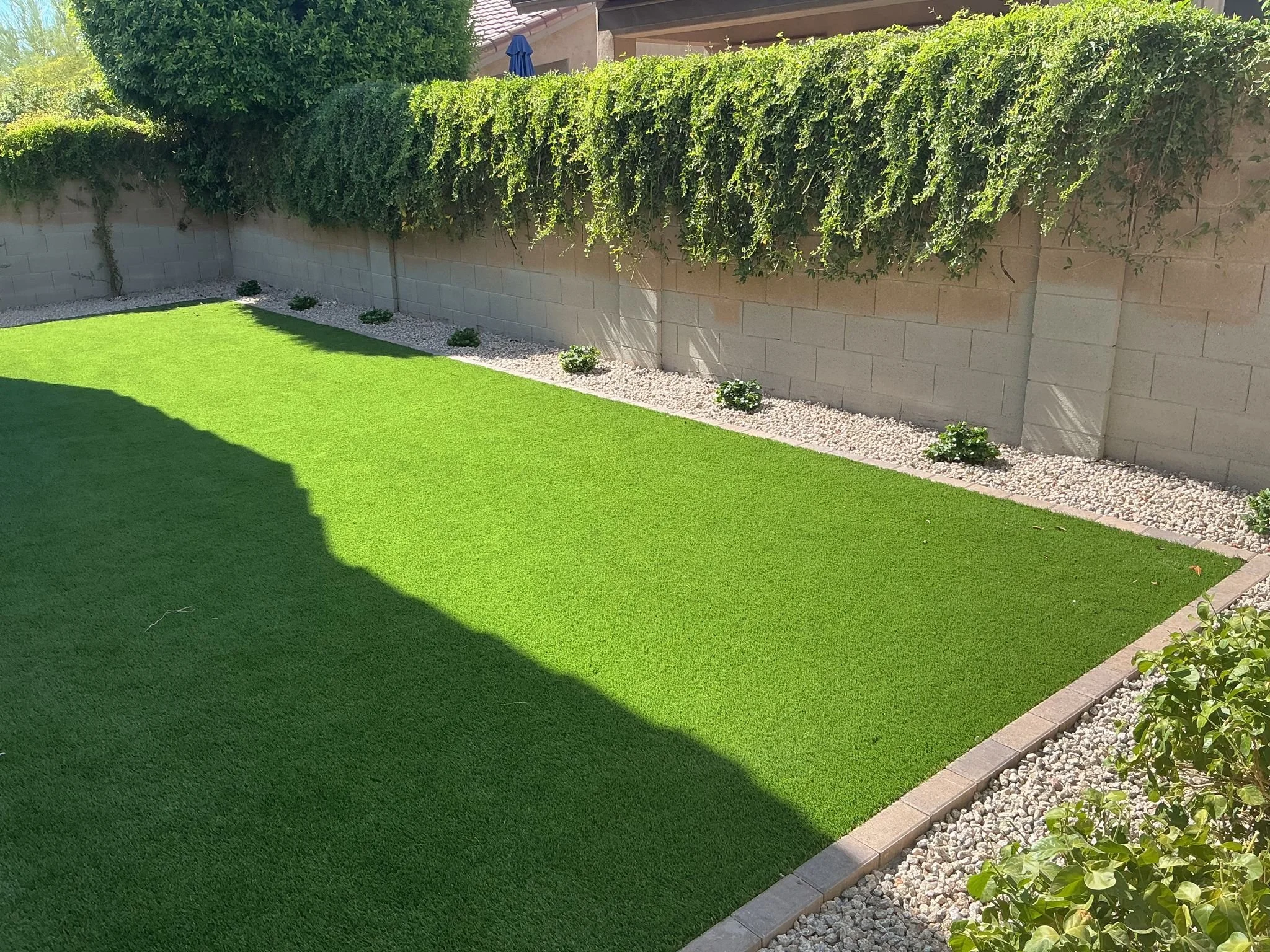 Backyard Landscaping