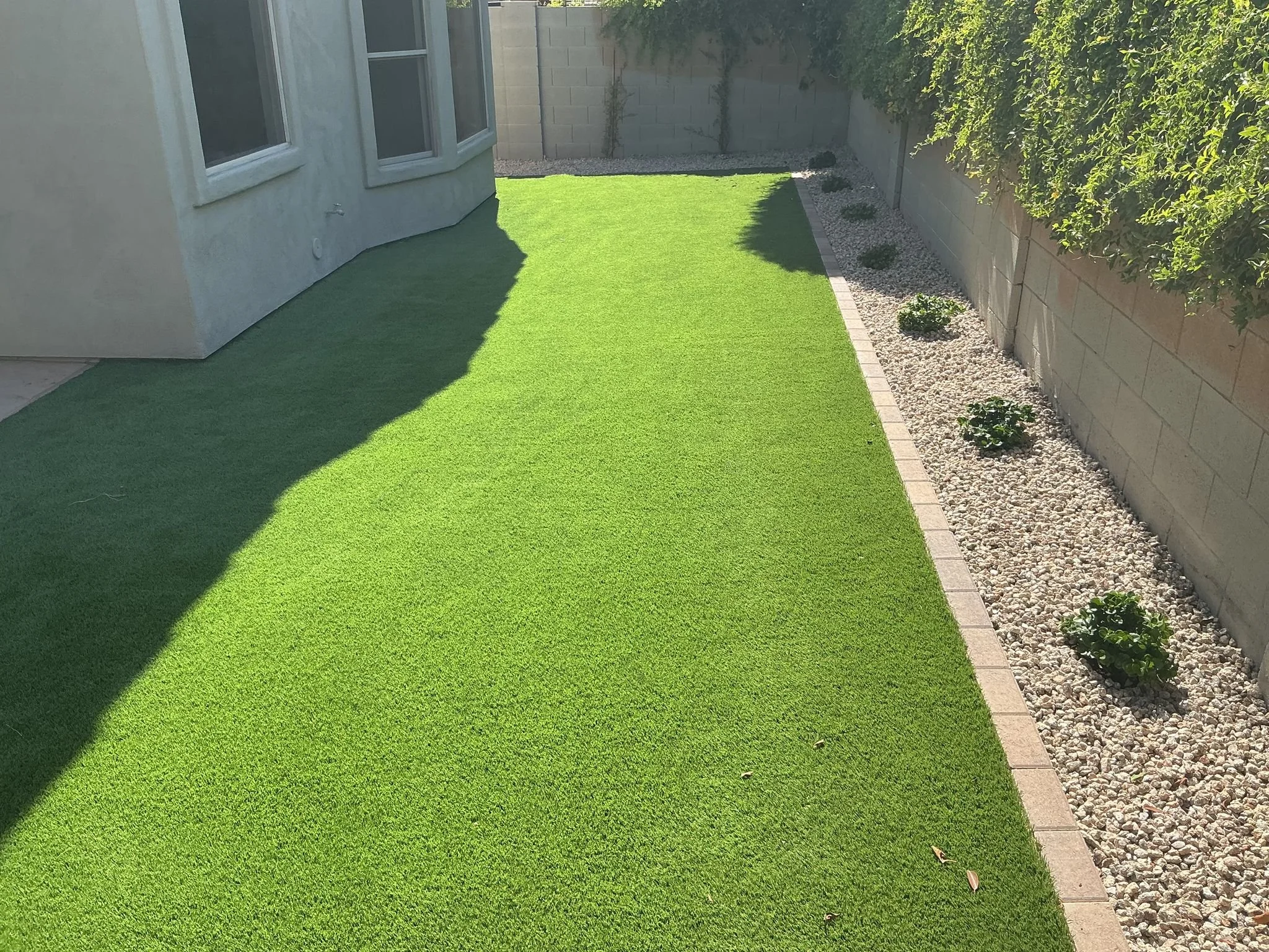 Backyard Landscaping