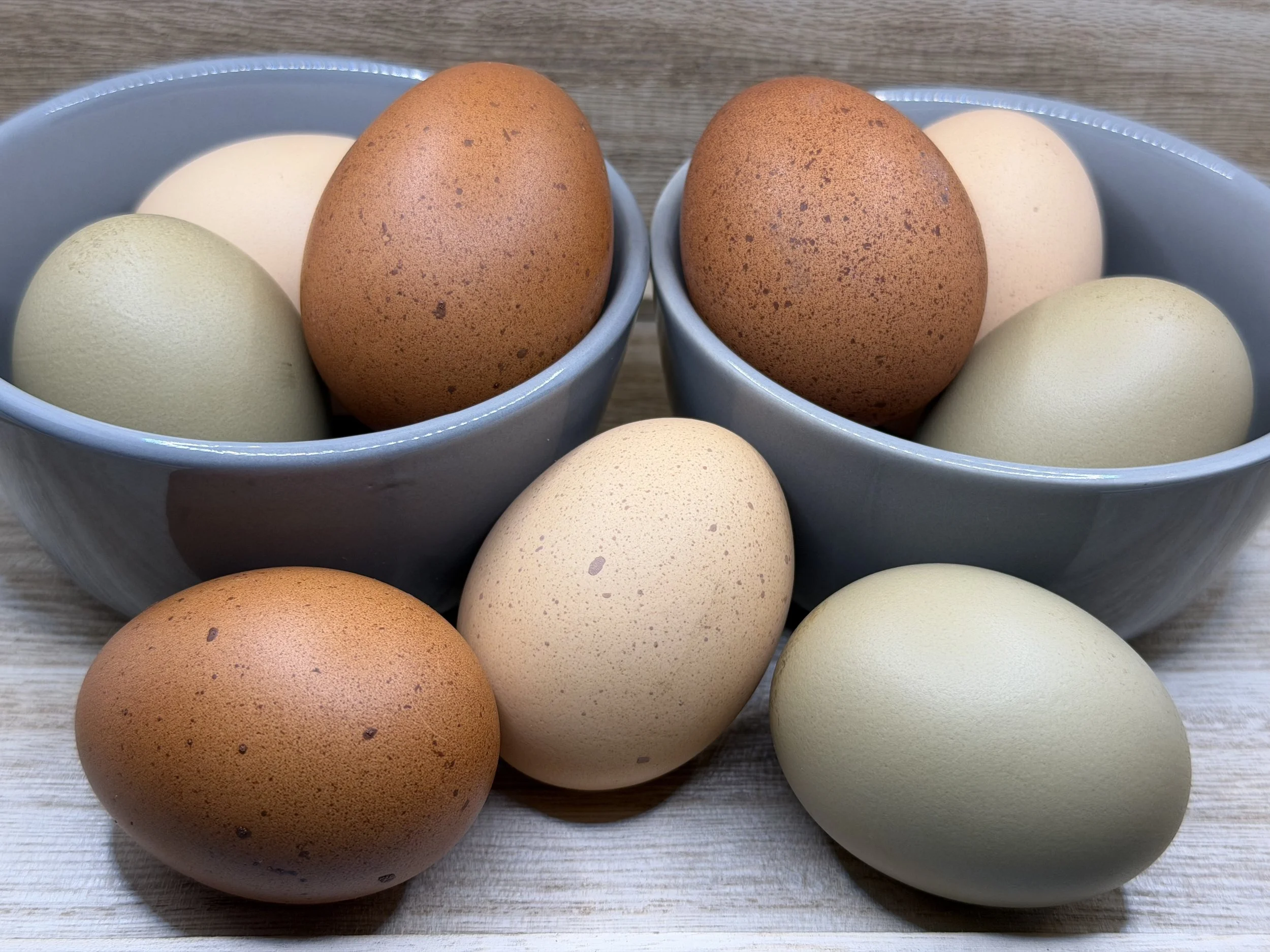 Fresh Eggs