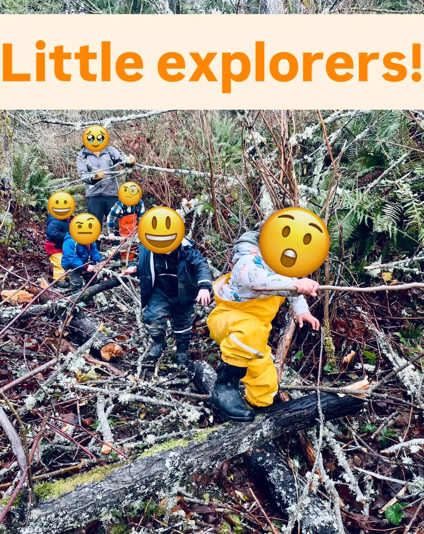 A few fallen limbs on our hike today proved NO MATCH for our little explorers. They encouraged one another and worked together to navigate the obstacles.
