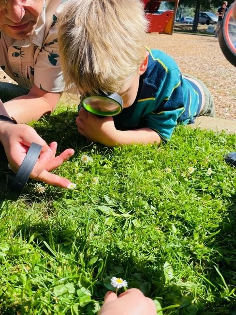 Child using a magnifying glass to observe small flowers and insects on the grass with adult nearby.