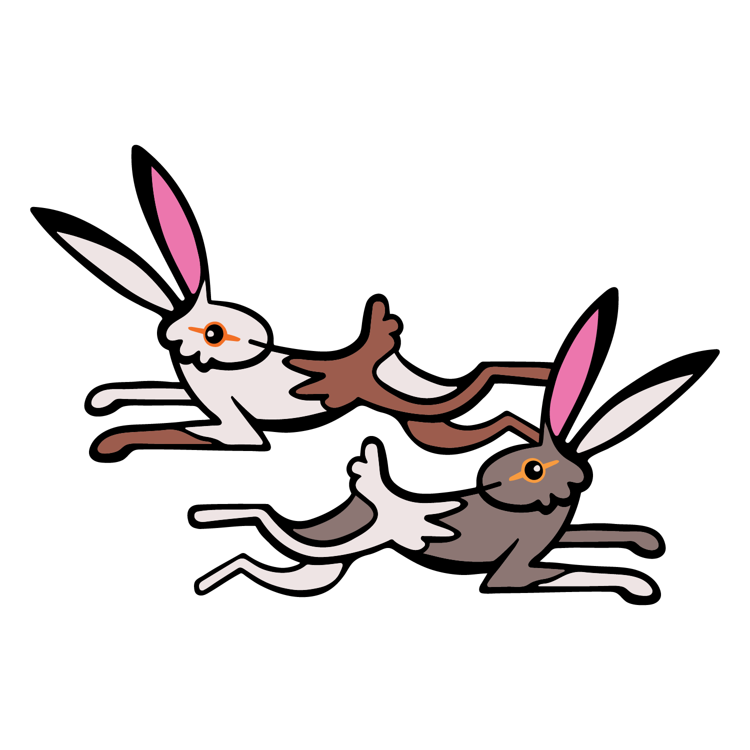 indigenous creative design rabbit values