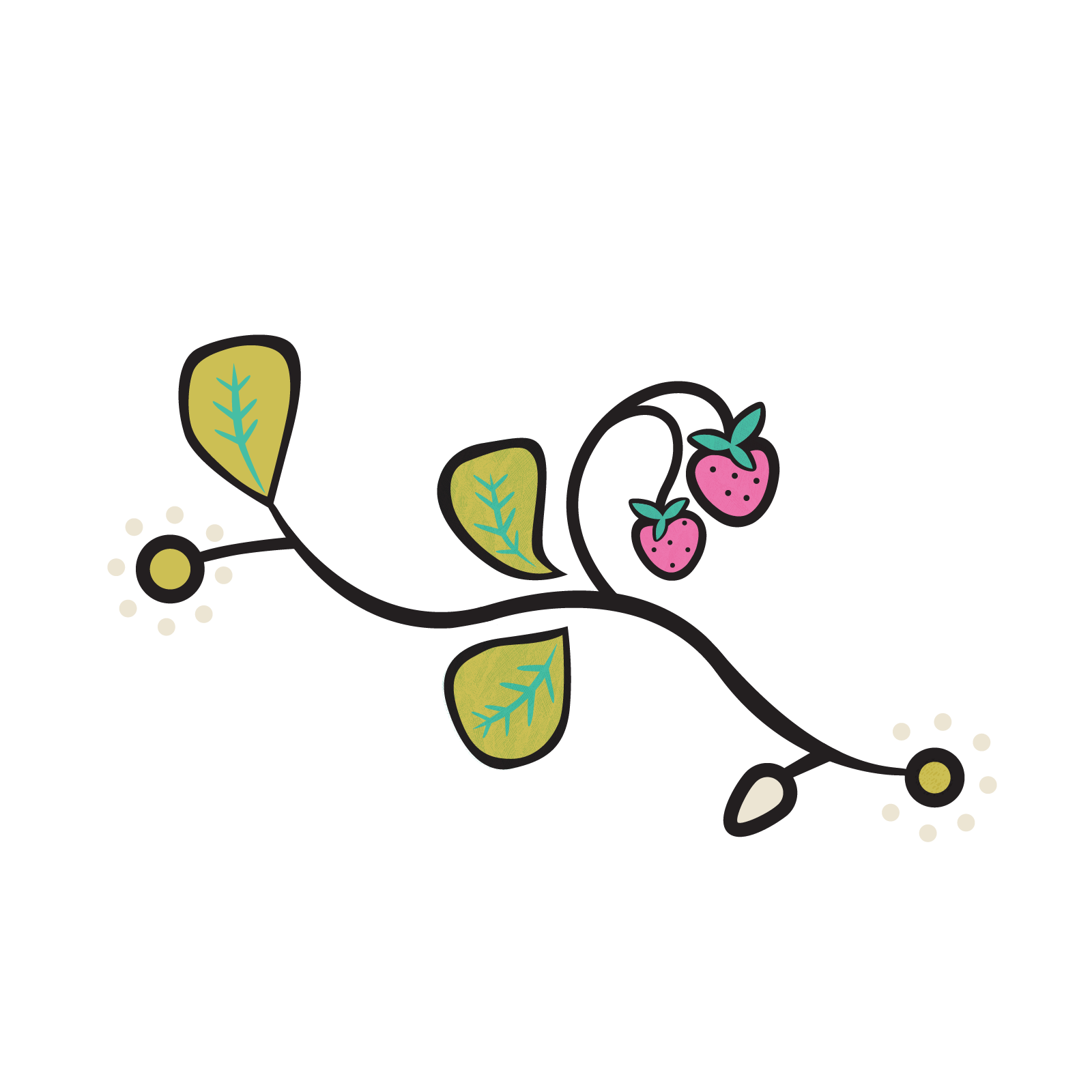 indigenous creative design strawberry