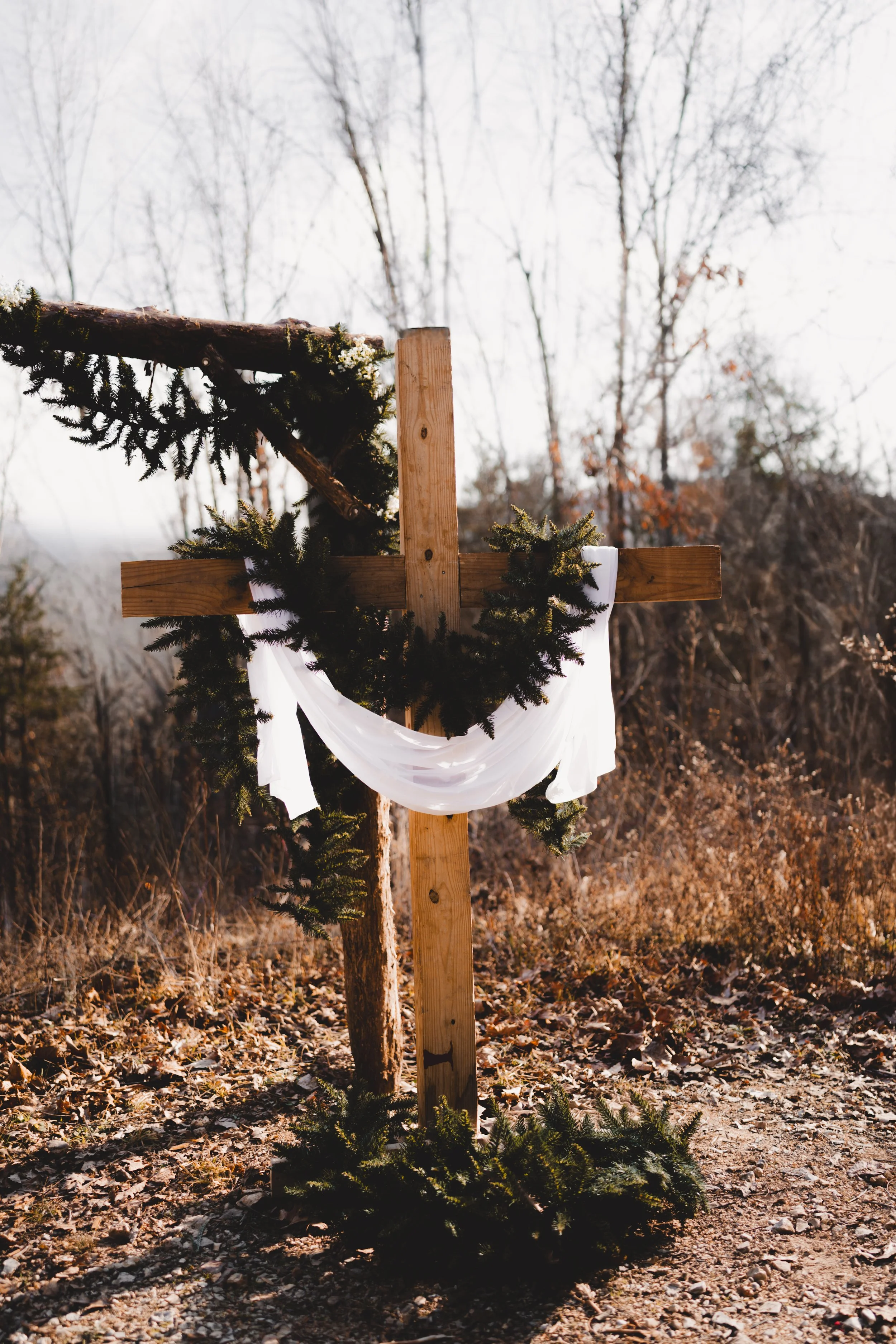 _DSC7915.jpeg