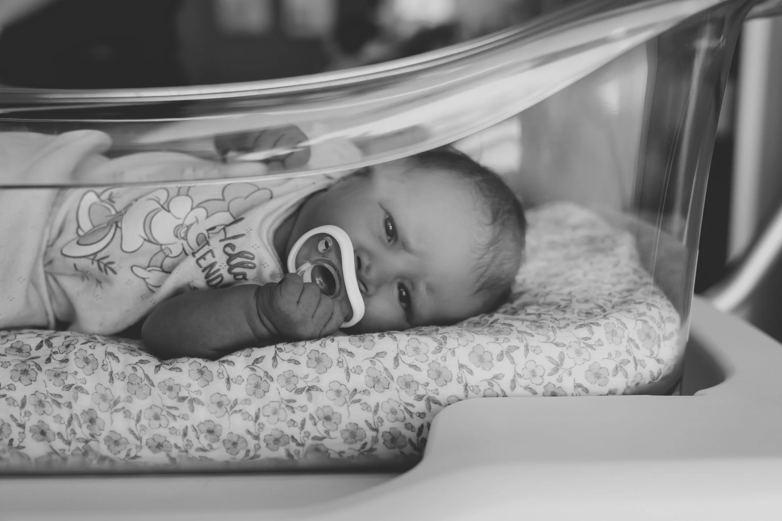 _DSC1570.jpeg
