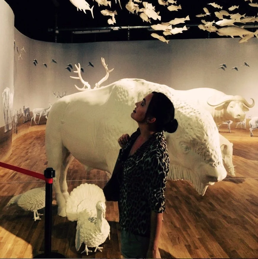 fliegende Fische Sqs.jpeg