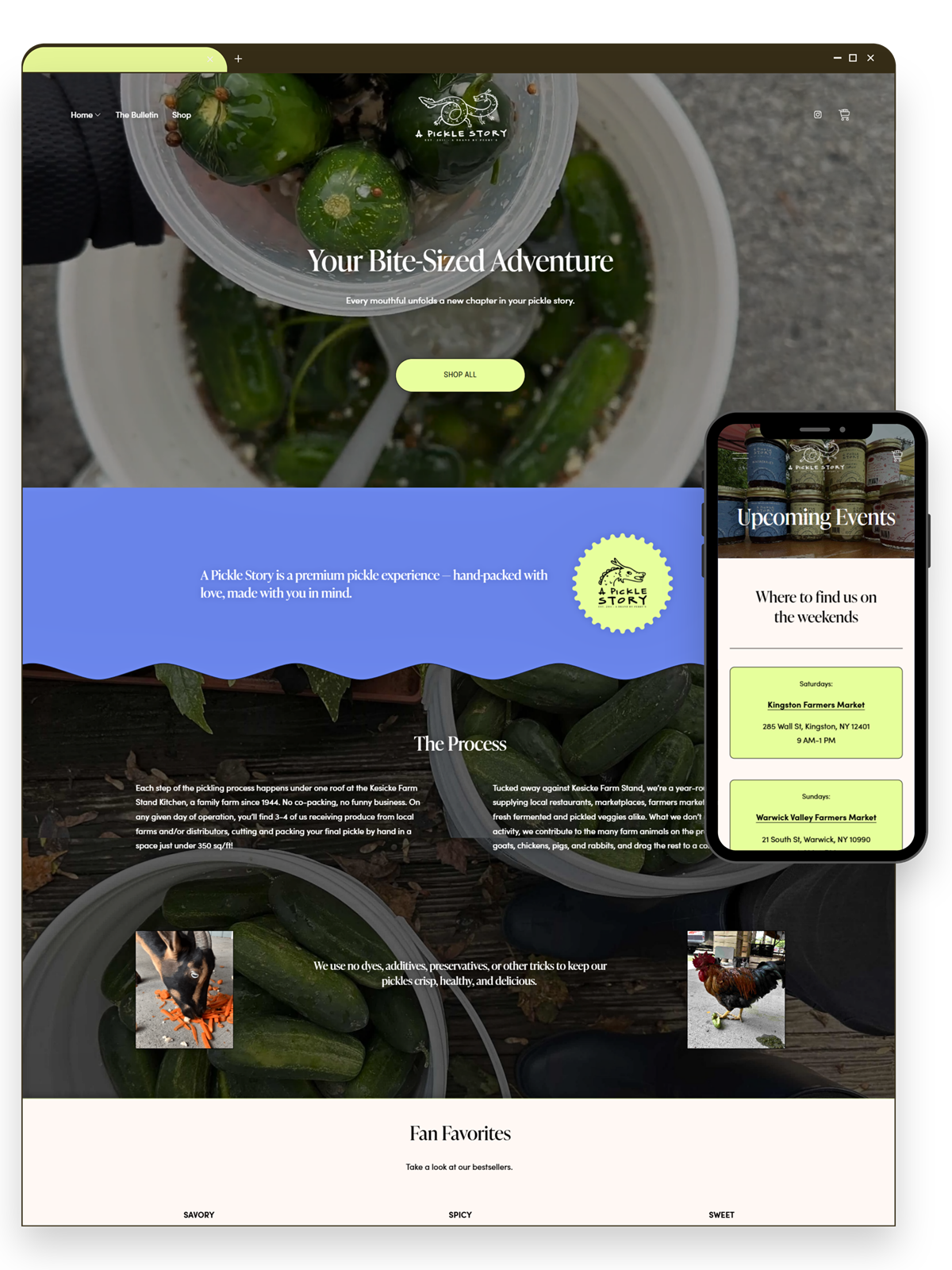Inside A Pickle Story's Squarespace online shop and fresh rebrand