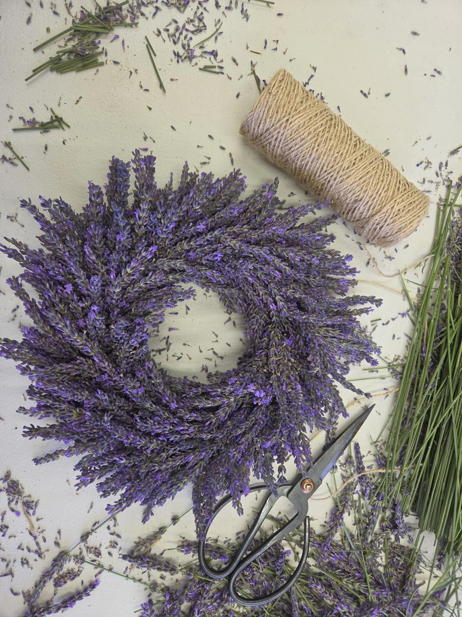 Lisa's Lavender