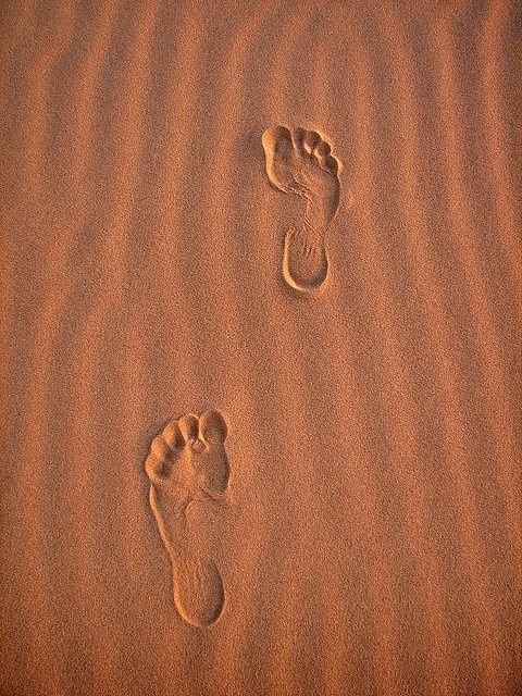 The soil that raised me cannot be erased