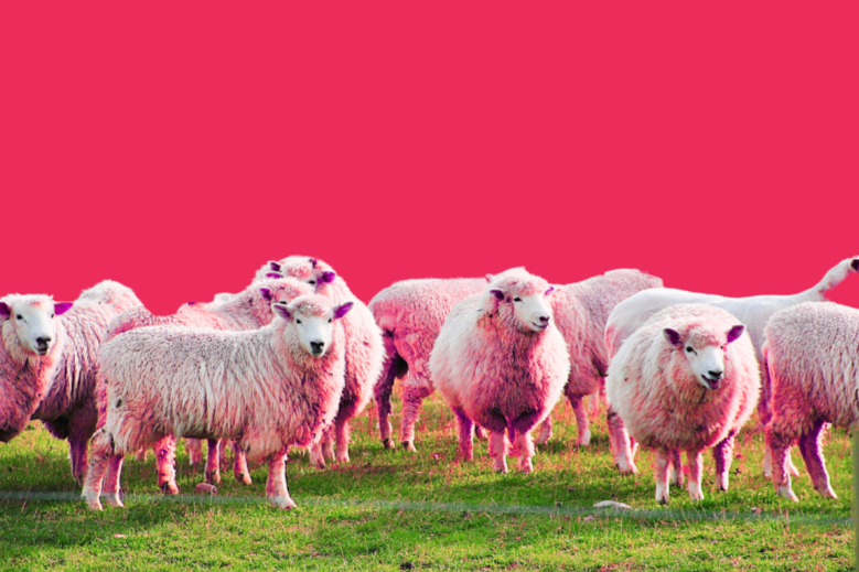 Harness Your Body’s Hidden Powers: 5 Quick Tips from Sauerkraut to Sleep (not Sheep)