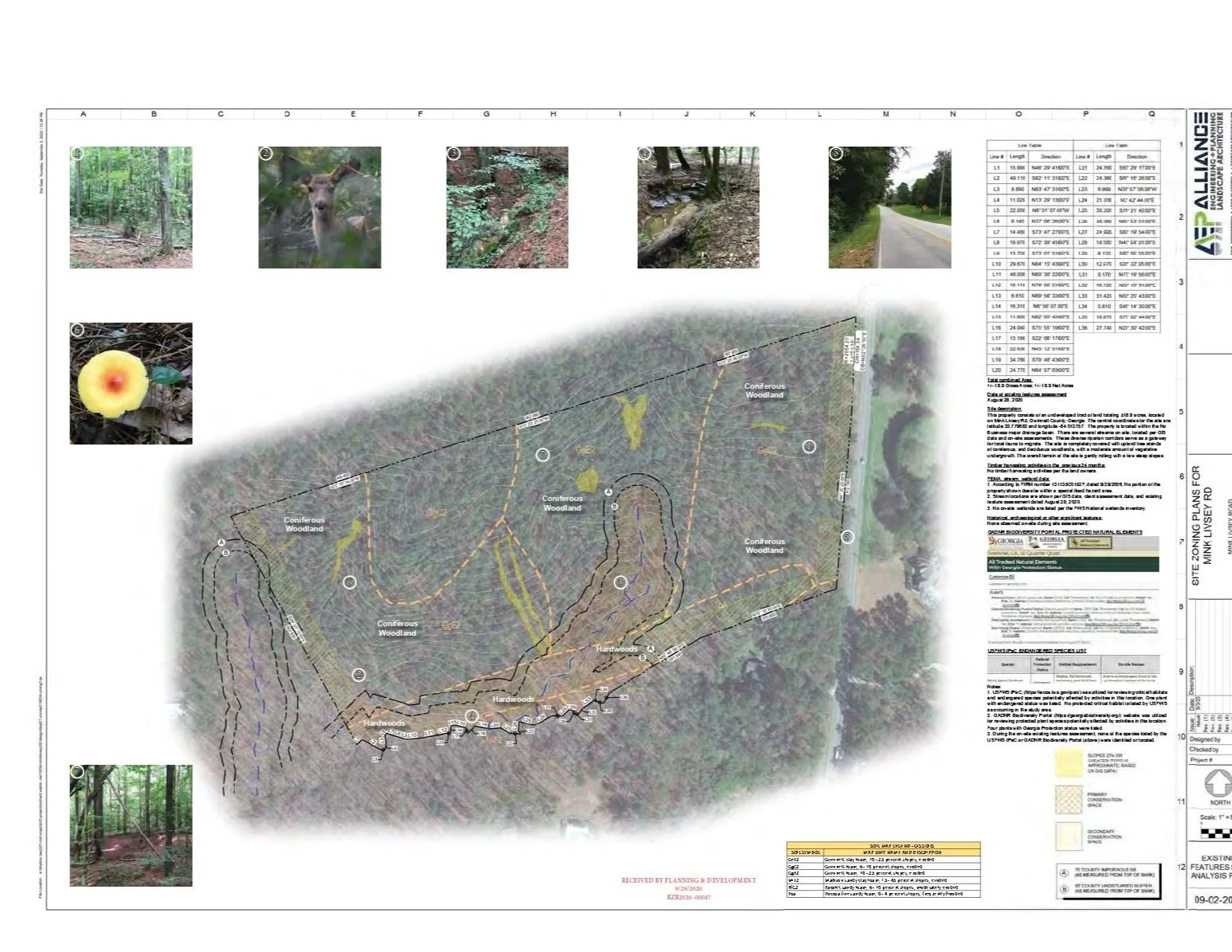 A detailed land use and zoning plan map with aerial view, featuring coniferous woodland, hardwood areas, and a trail layout. Several small photographs of forest scenes and wildlife are positioned around the map sides.