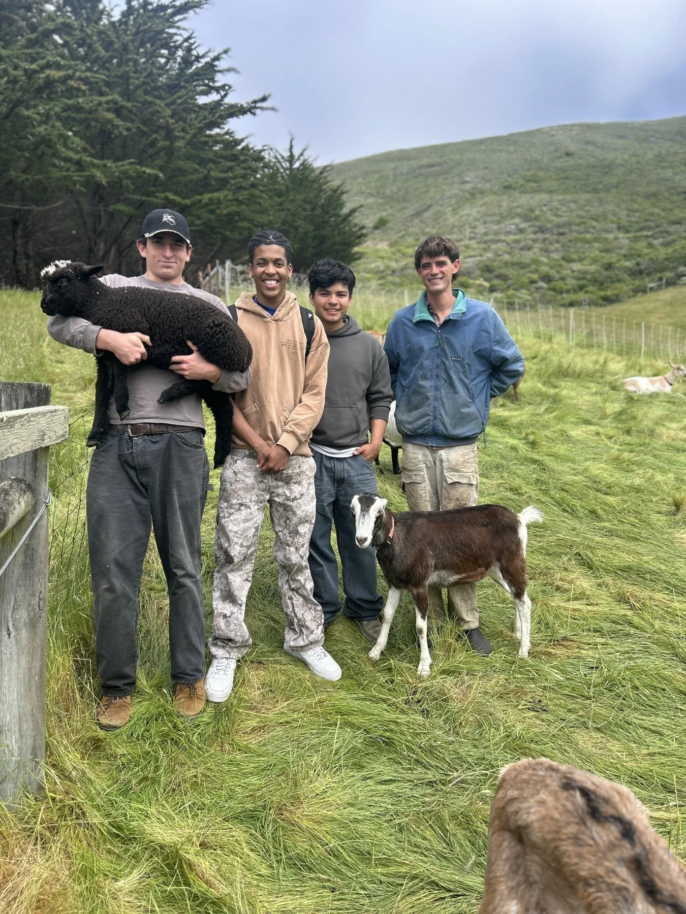 Learning about animal care · Magnolia programs