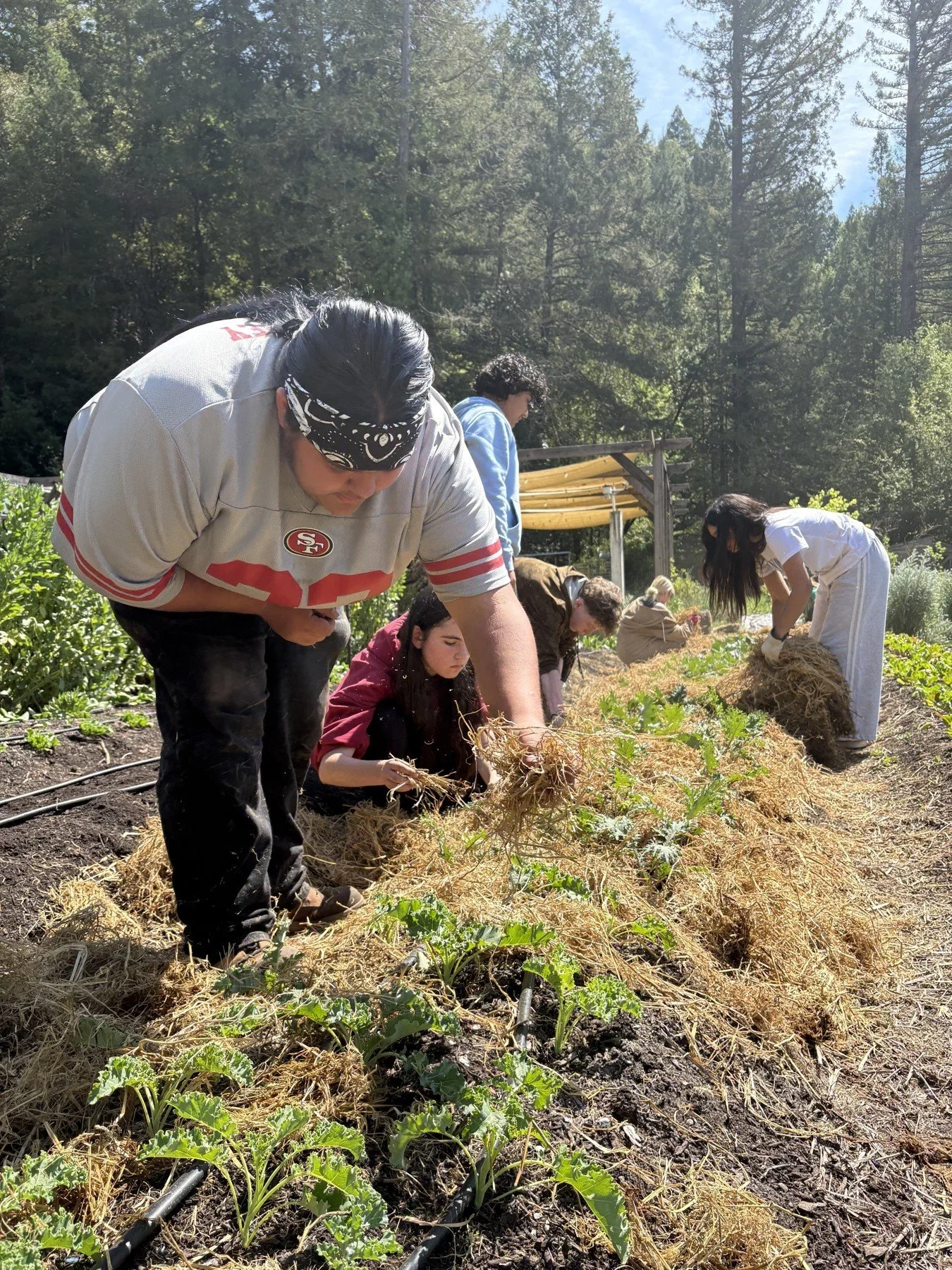 Growing practical skills · Magnolia programs