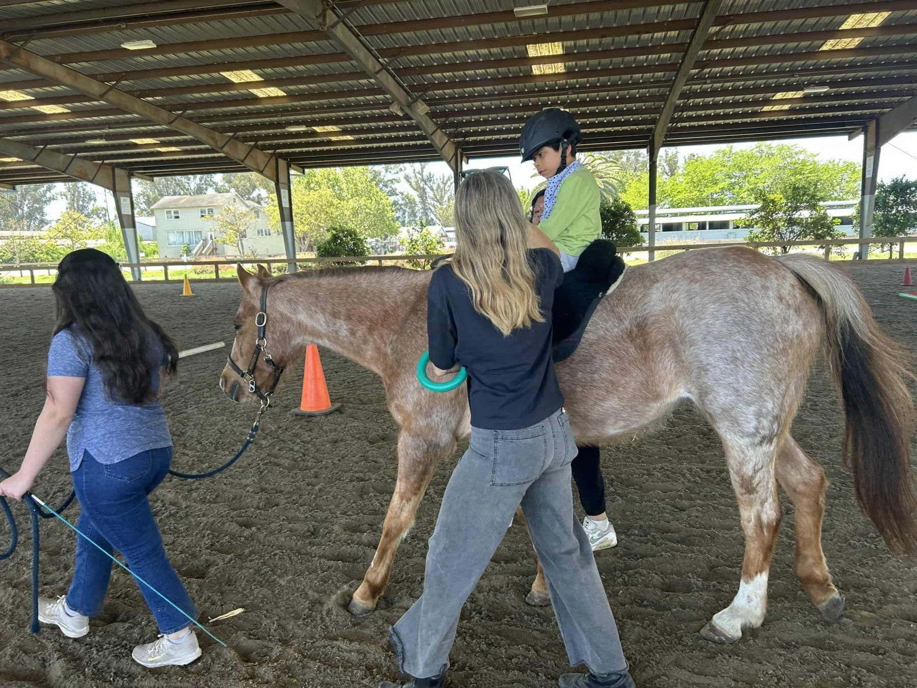 Students learning to care for a horse · Magnolia programs