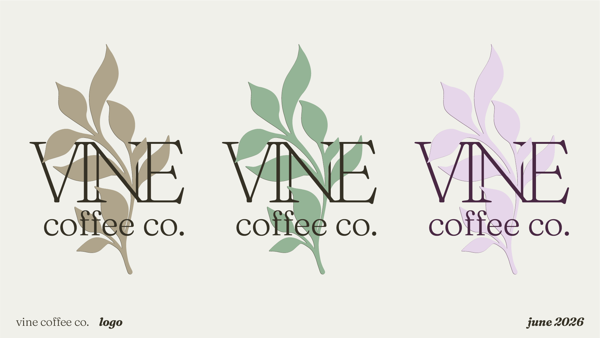 Three logos for Vine Coffee Co., each featuring a different colored leafy branch and the text 'VINE' in large uppercase letters and 'coffee co.' underneath. The left logo has a beige branch, the middle green, and the right purple. The bottom left cor