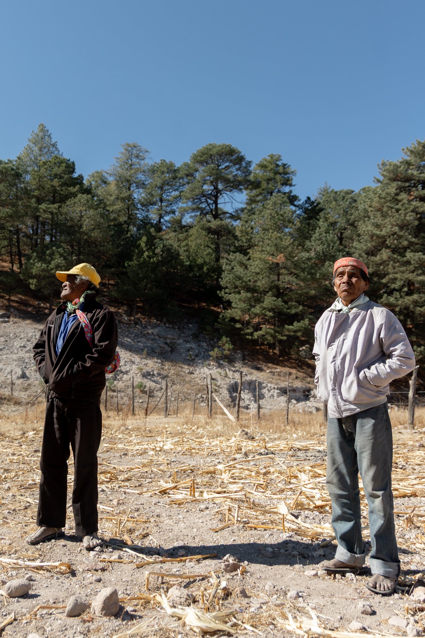 Two men standing outdoors in a dry, rocky area with scattered dead plants, surrounded by tall pine trees under a clear blue sky.