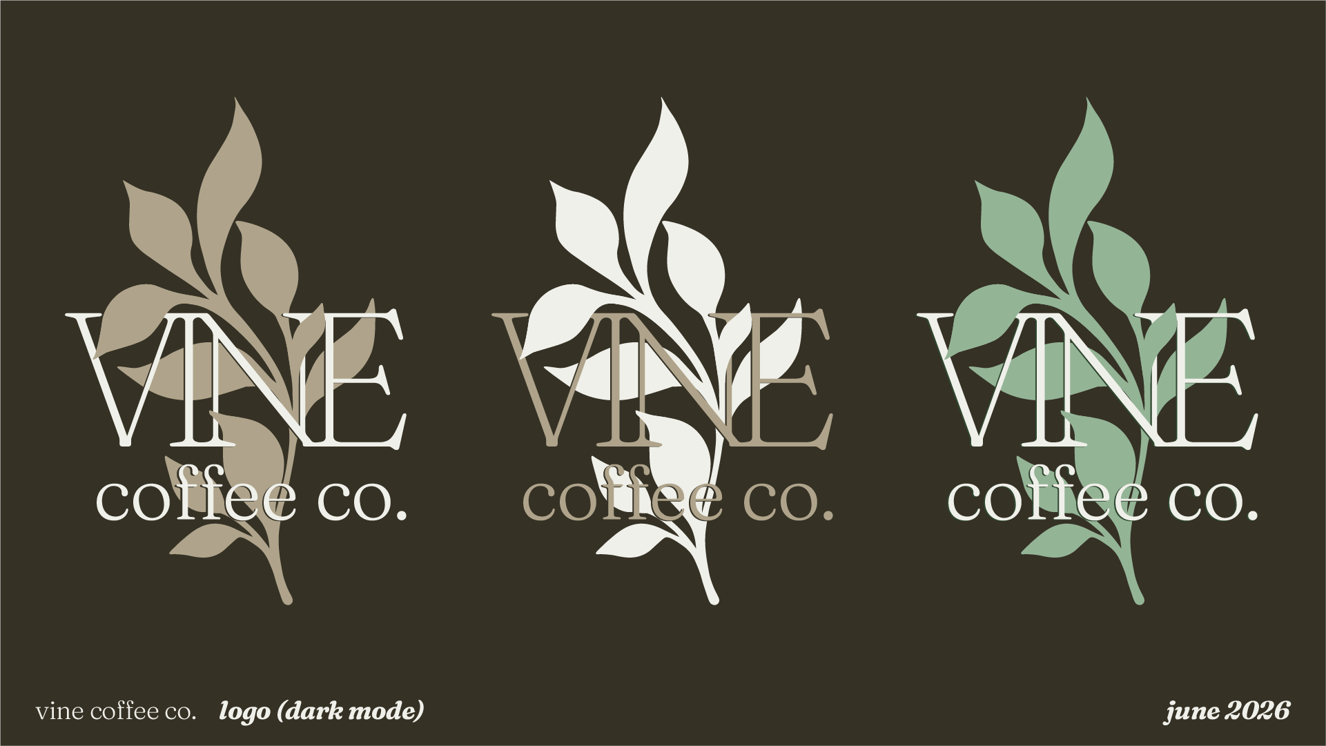 Design showcasing three coffee shop logos with the word "VINE" and a stylized vine illustration, labeled as 'dark mode' for June 2026.