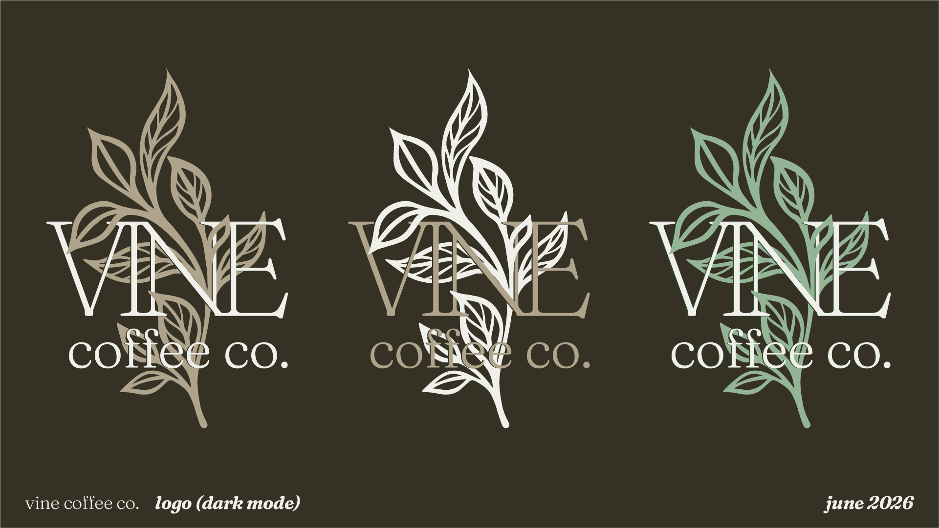 Three variations of a logo for vine coffee co., each featuring a stylized vine with leaves, with the word 'VINE' in large outline letters and 'coffee co.' beneath in smaller font, set against different background colors: dark beige, white, and mint g